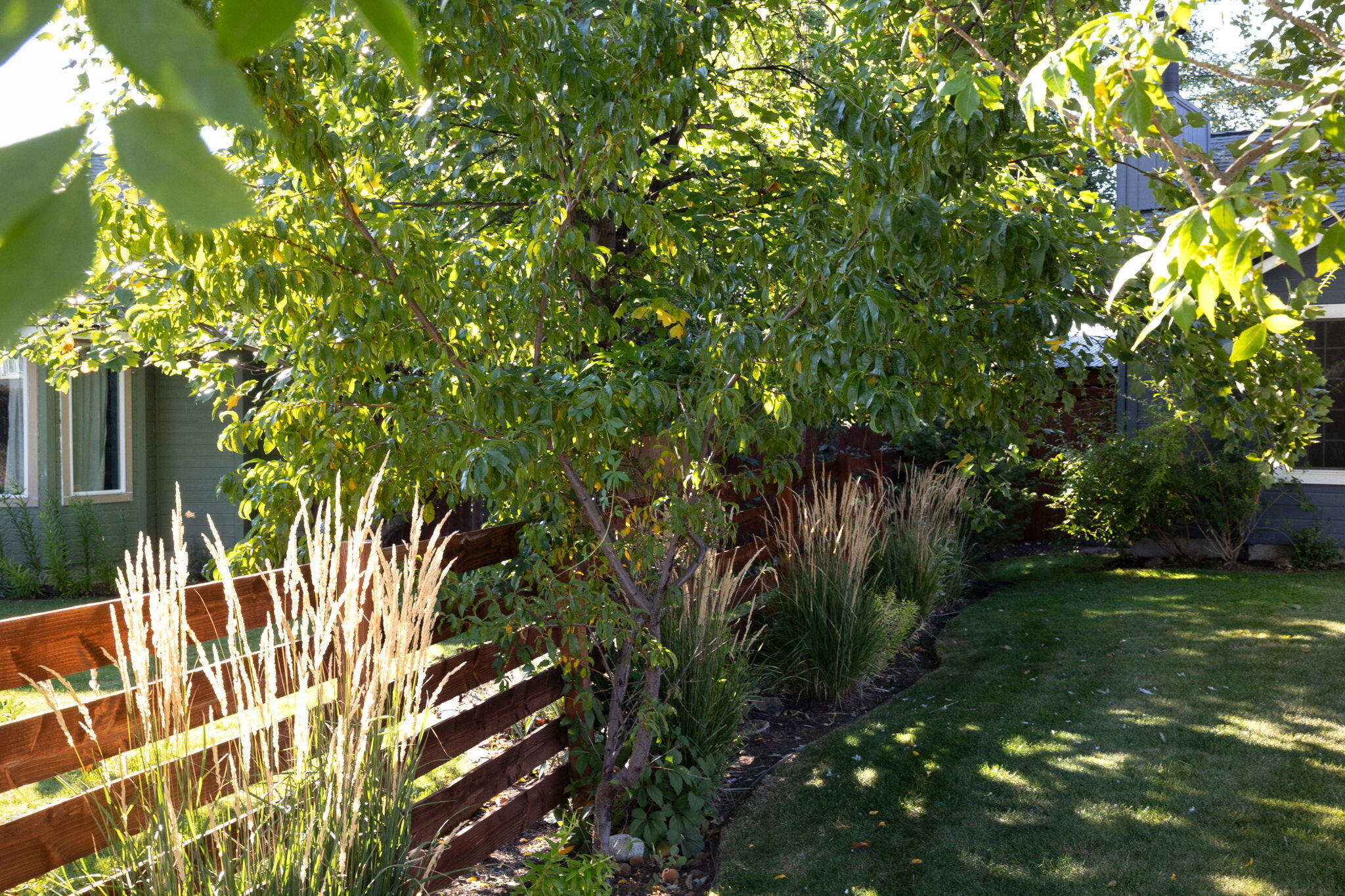 Redhawk - Residential