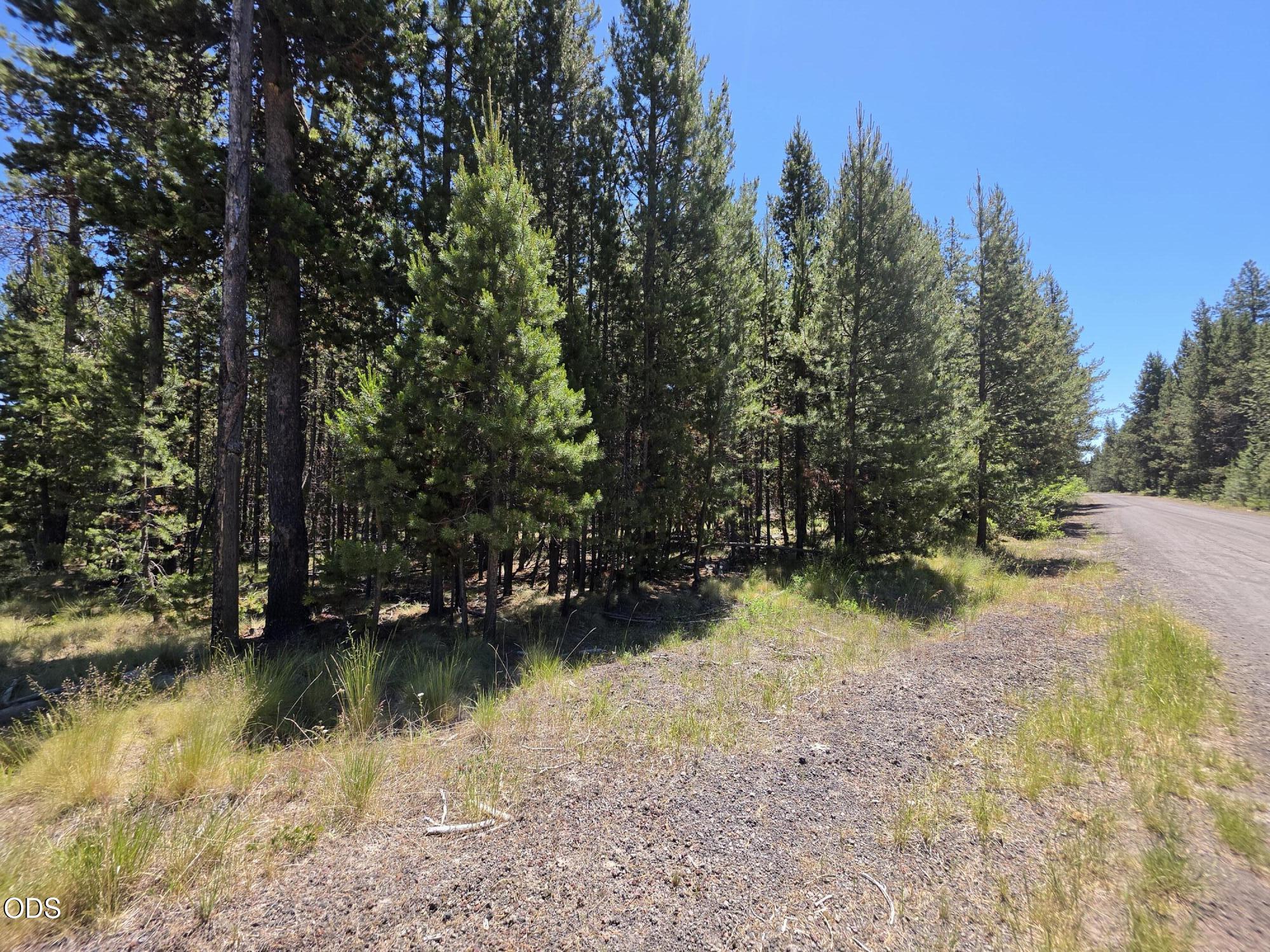 17103 Laguna Road