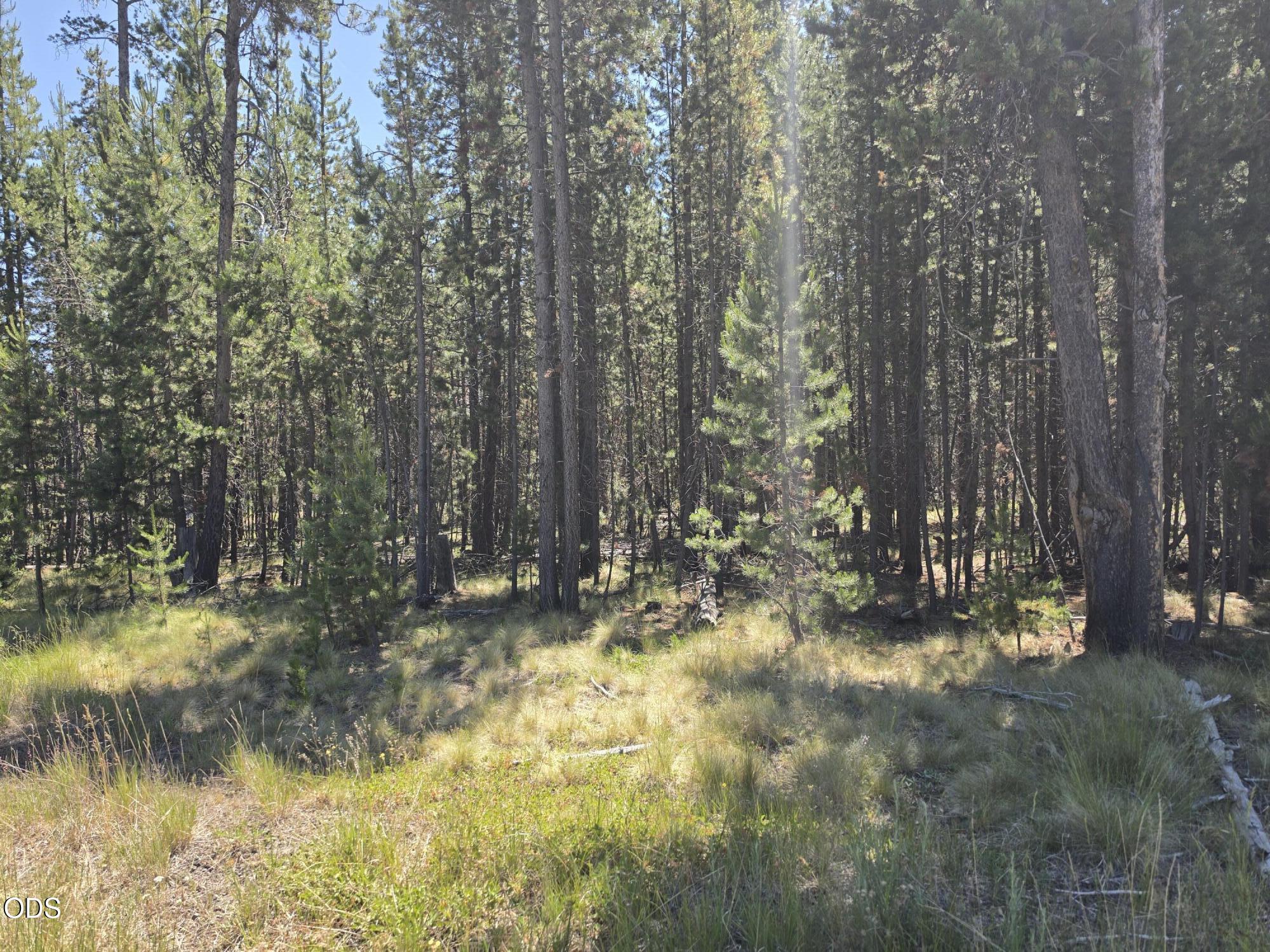 17103 Laguna Road
