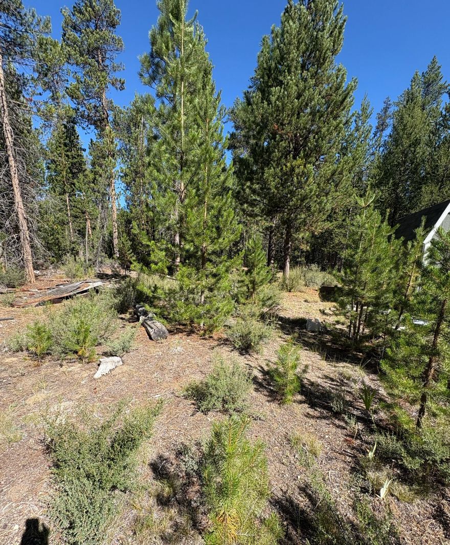 Land value only-home of no value