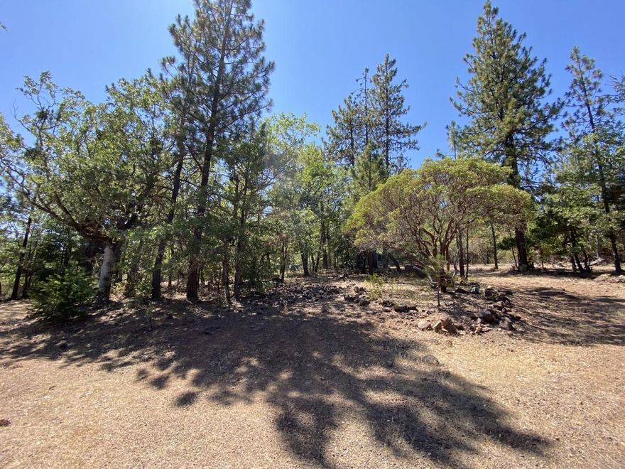 Great lot near Lost Creek Lake with electricity and community water system available. Minimal clearing for home-site, with manufactured homes allowed. Very quiet neighborhood with beautiful views year round. Come build your dream home and enjoy all the nearby recreation that Oregon has to offer.