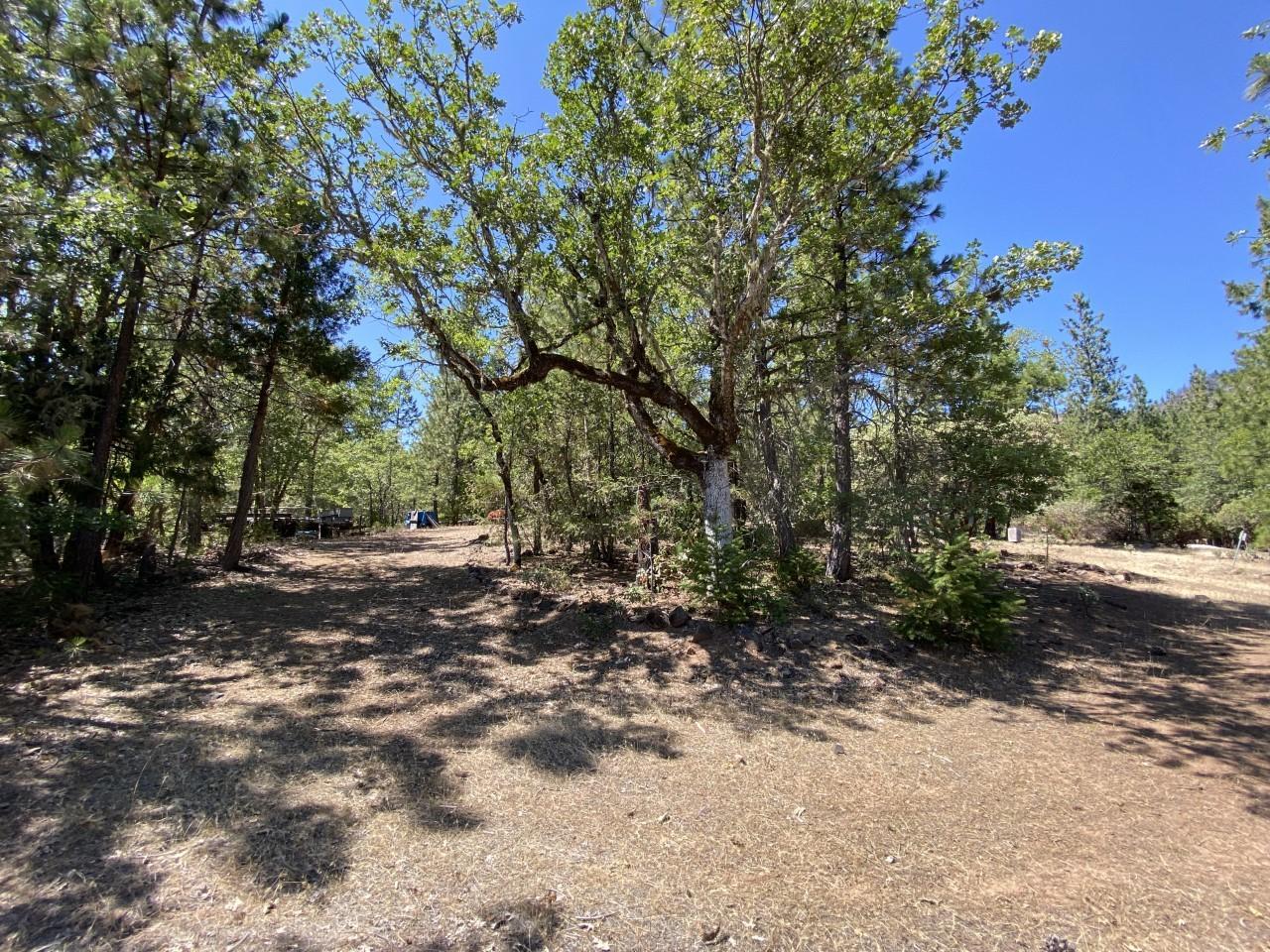 Evergreen Meadows Subdivision - Land
