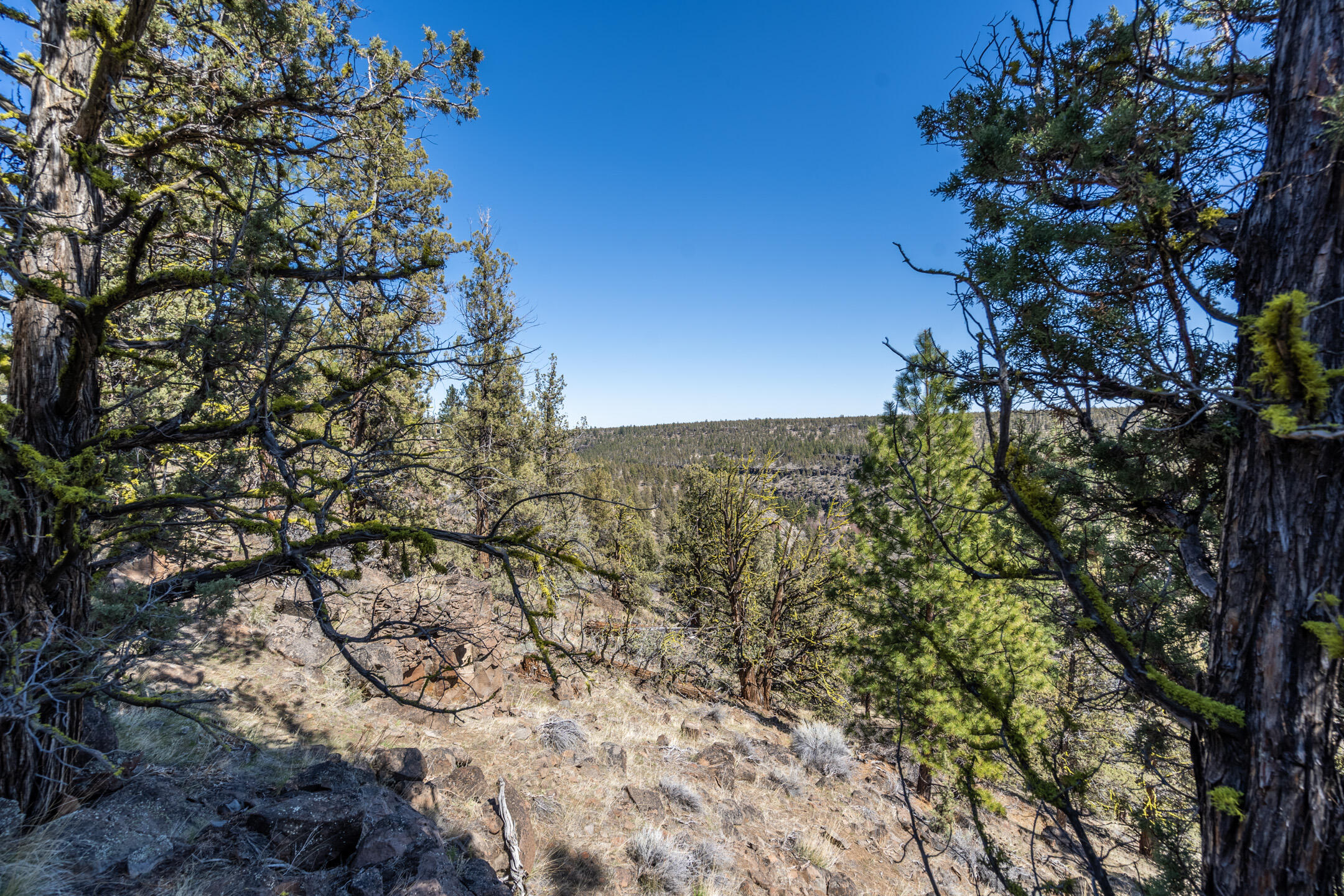 Squaw Creek Canyon - Land