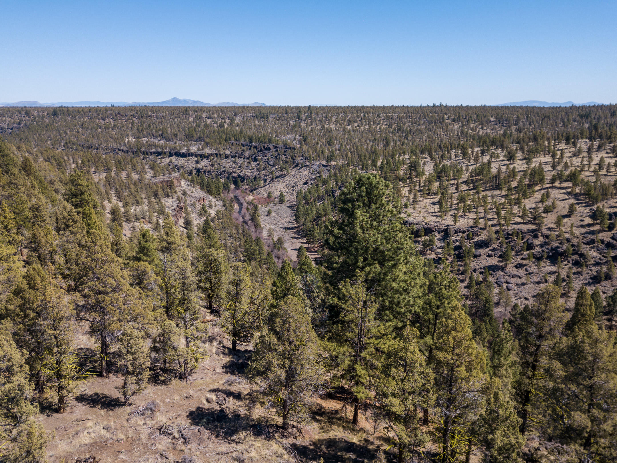 Squaw Creek Canyon - Land