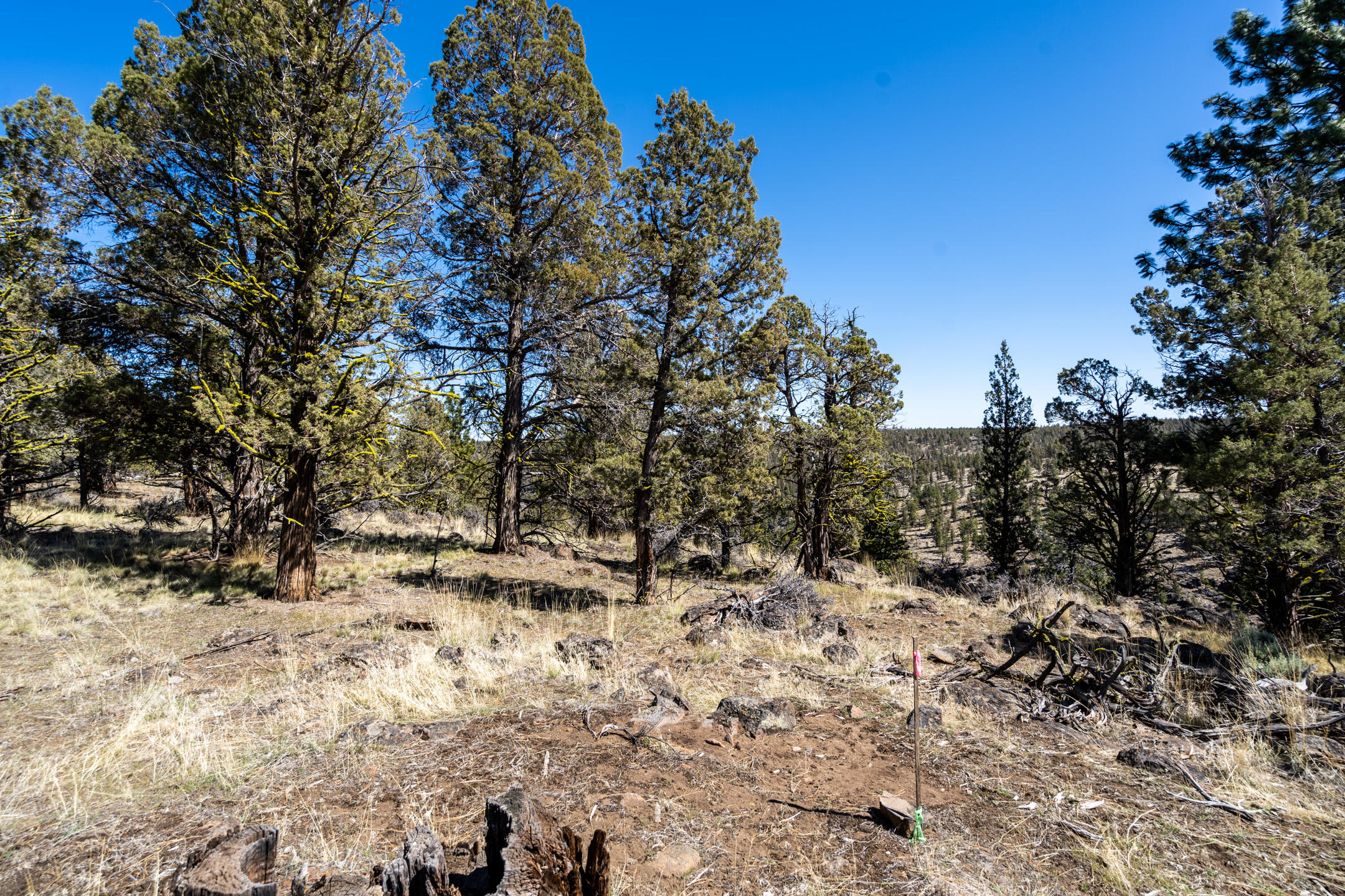 Squaw Creek Canyon - Land