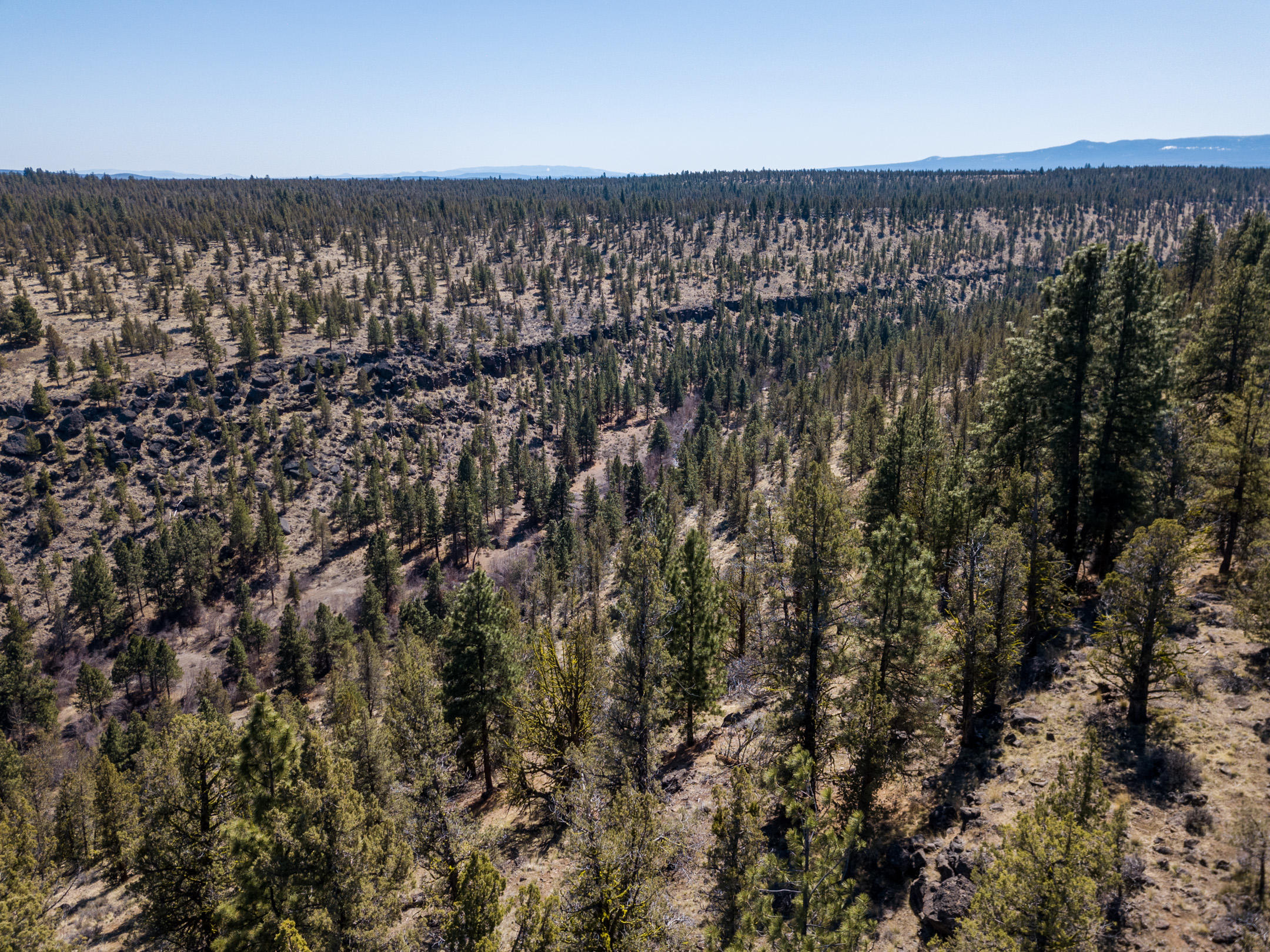 Squaw Creek Canyon - Land