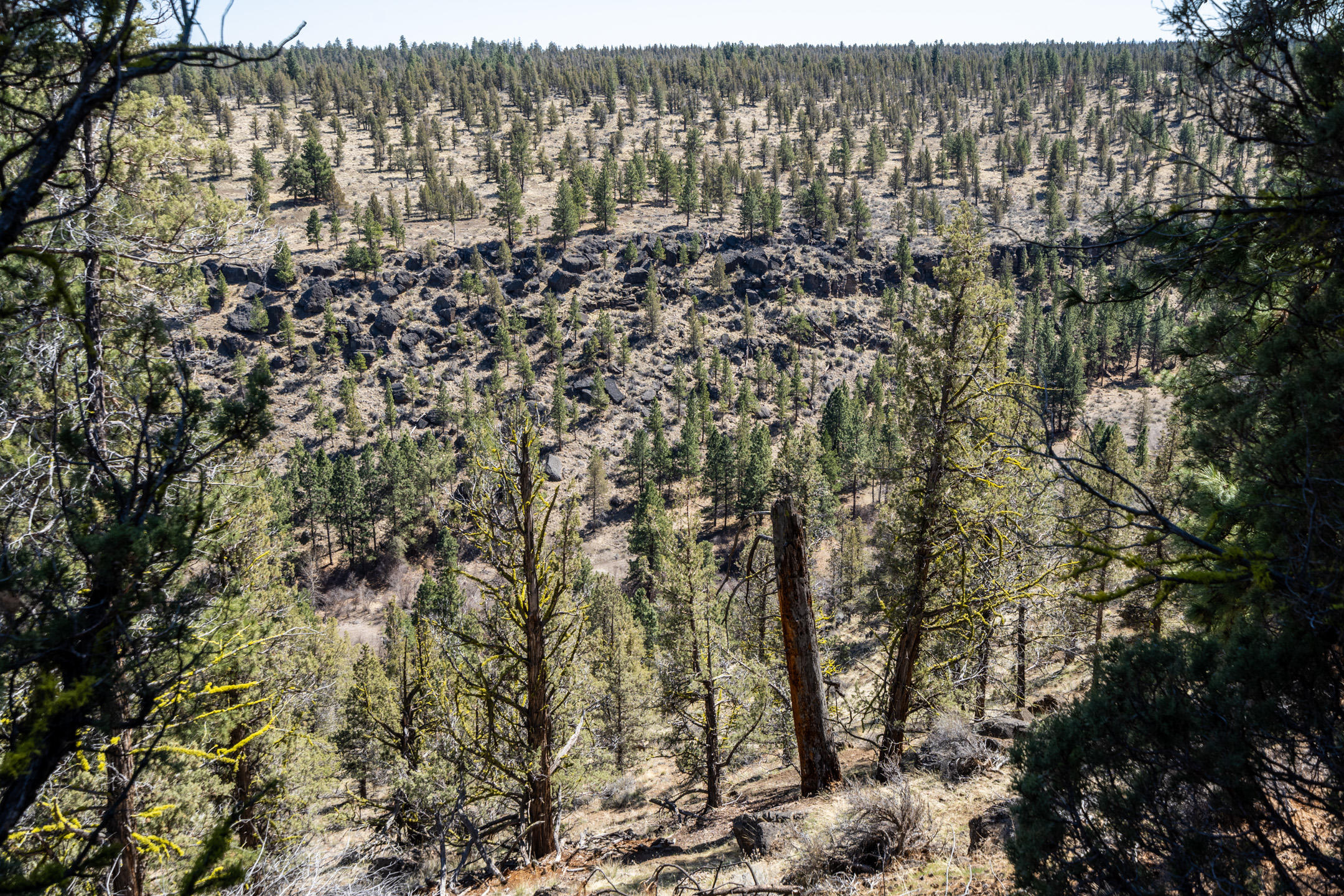 Squaw Creek Canyon - Land