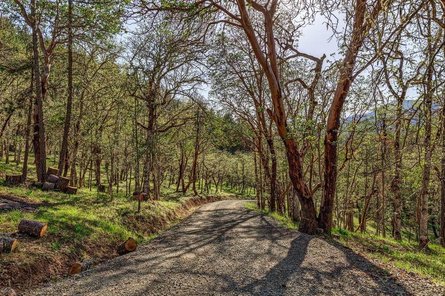 Come Check out this private and peaceful 5 wooded acres bordered by BLM on 2 sides. The porperty has Homesite Approval and a 600sq. ft. workshop.