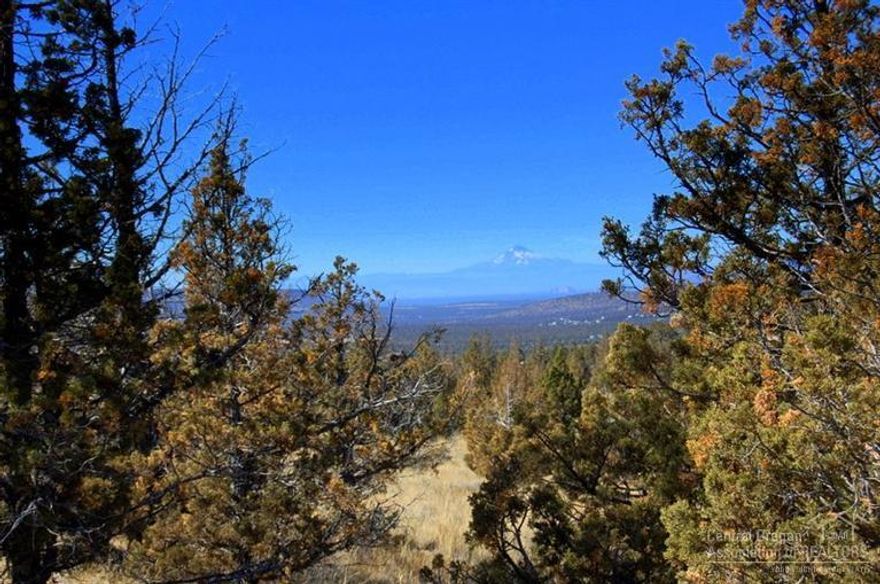 Buildable parcel on Benelli. 1.86 acres situated in Central Oregon's high desert with beautiful valley views. Nicely treed on a gentle sloping ridge. Custom or manufactured homes allowed. Septic has been approved & power is close by. Prineville Reservoir is close by for fishing, boating & water sports. Seller says Sell now!