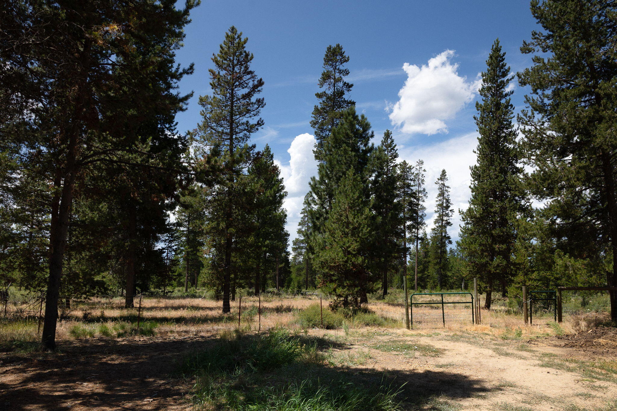 Newberry Estates - Residential