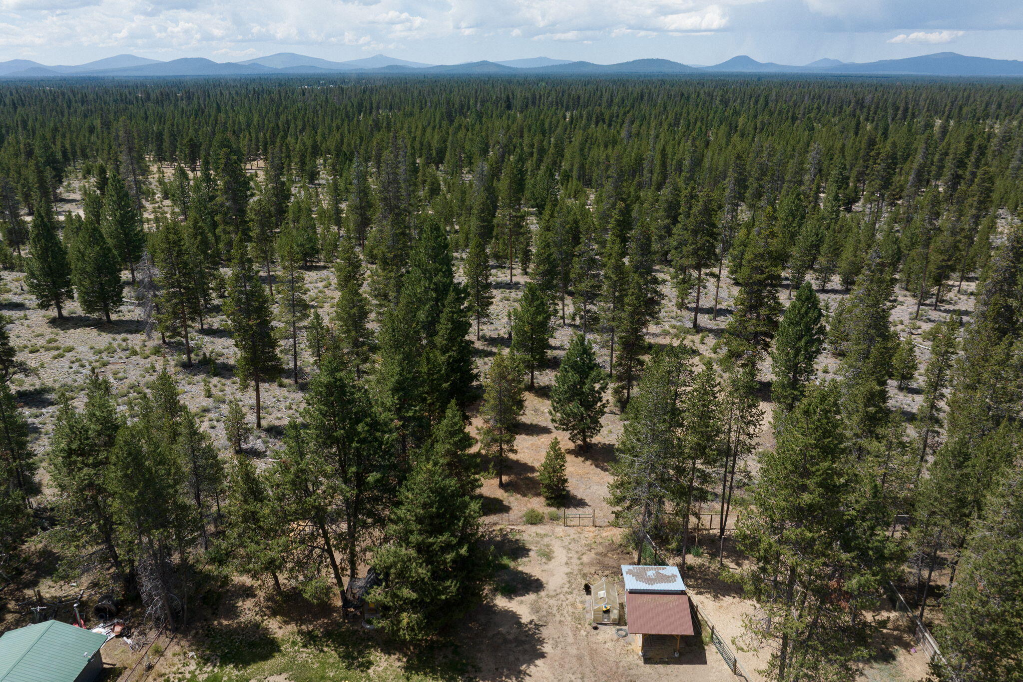 Newberry Estates - Residential