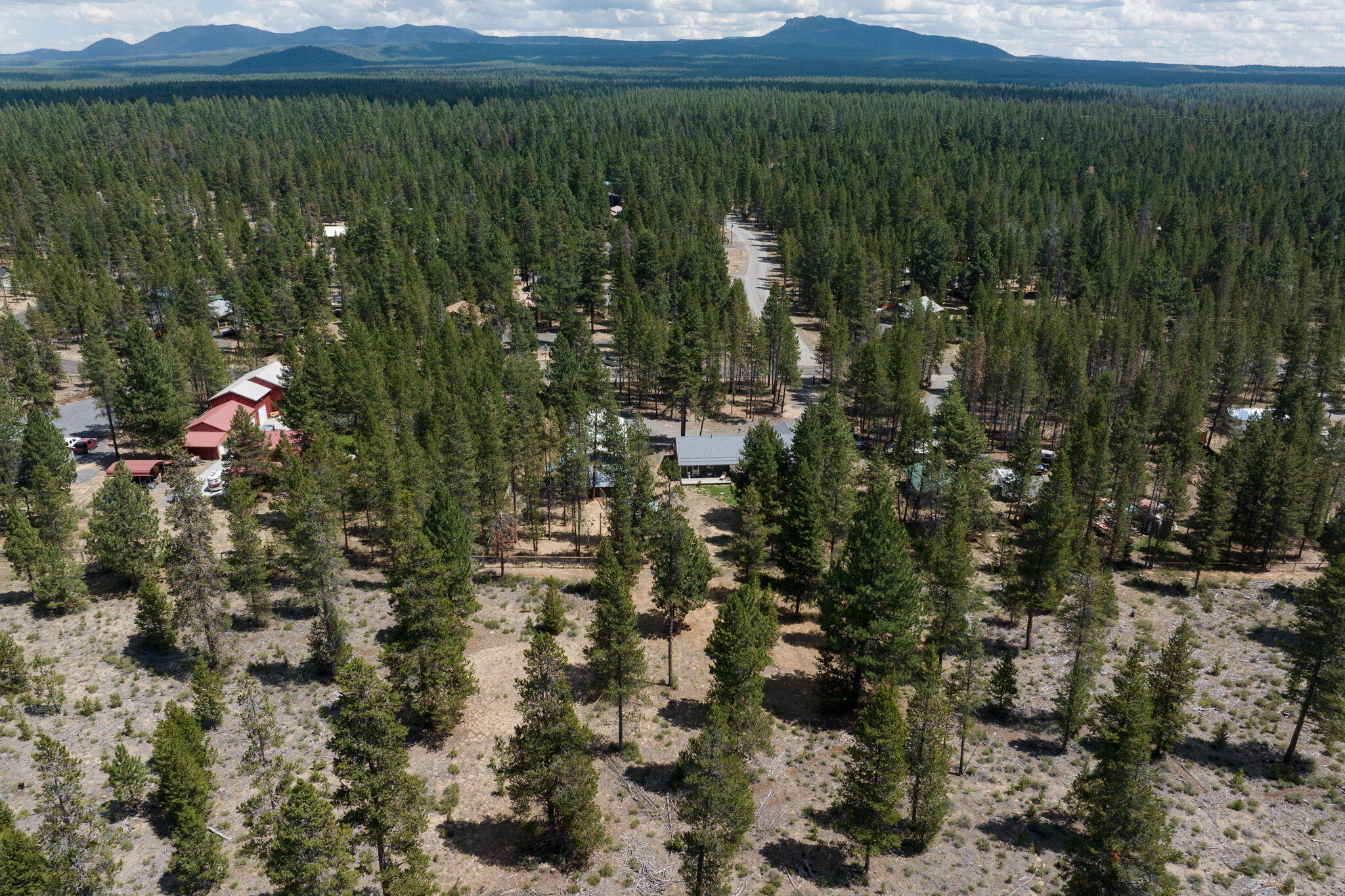 Newberry Estates - Residential