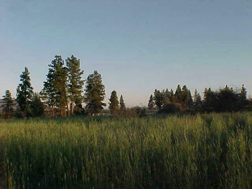 Great Building Lot With Water Available. Nice View. Deq Approved For Capping And Fill System.