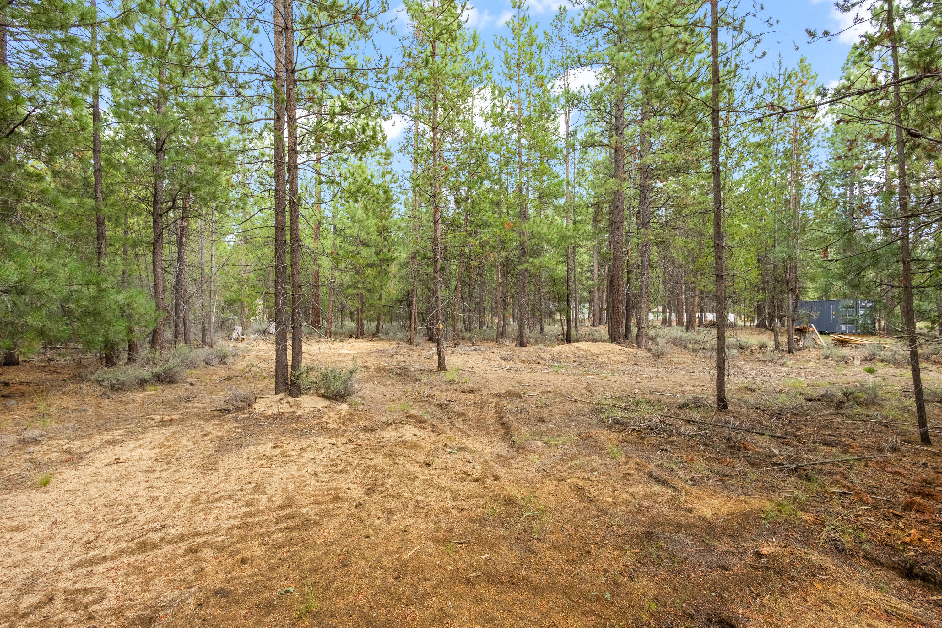Tall Pines - Land