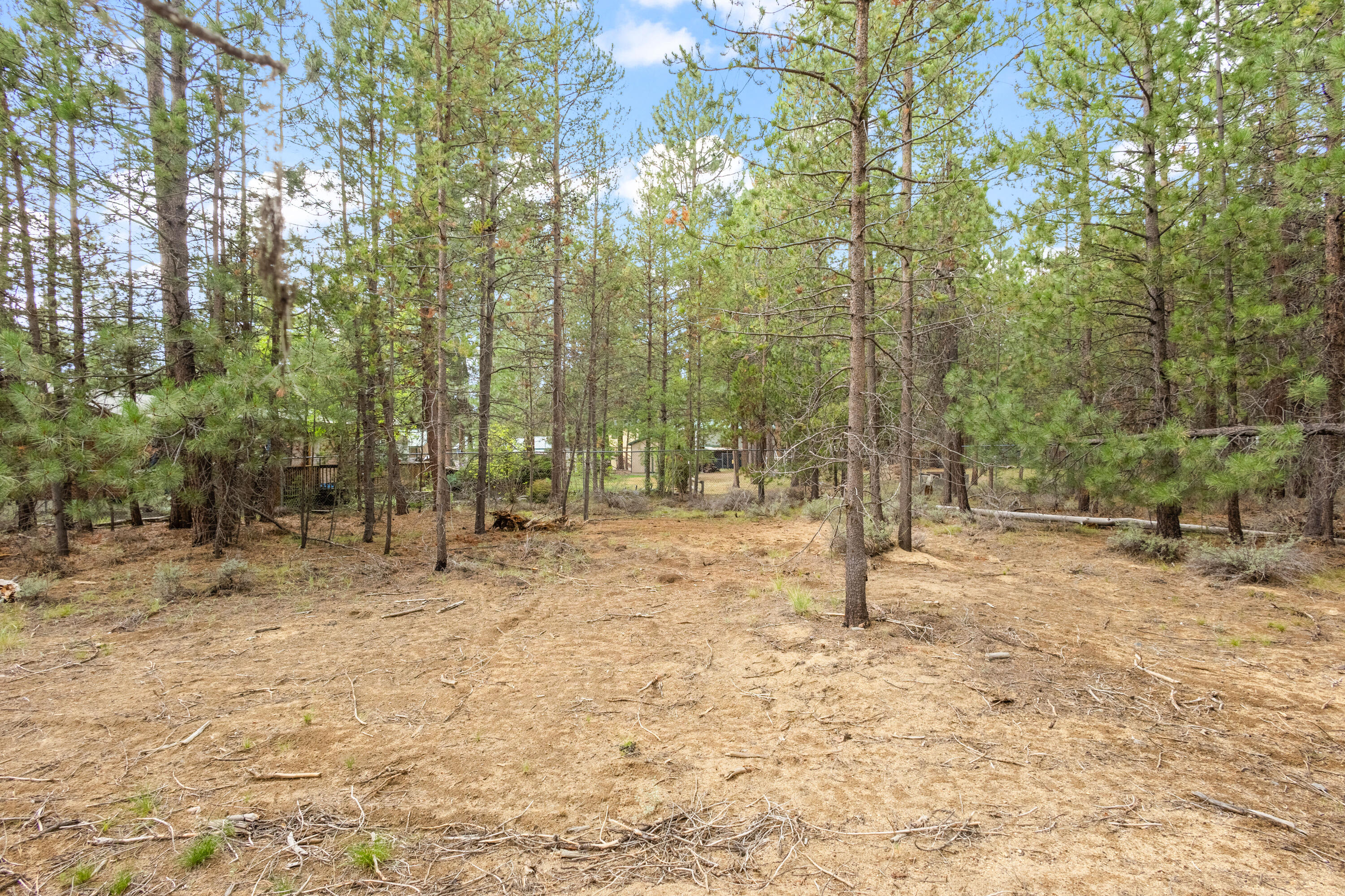 Tall Pines - Land