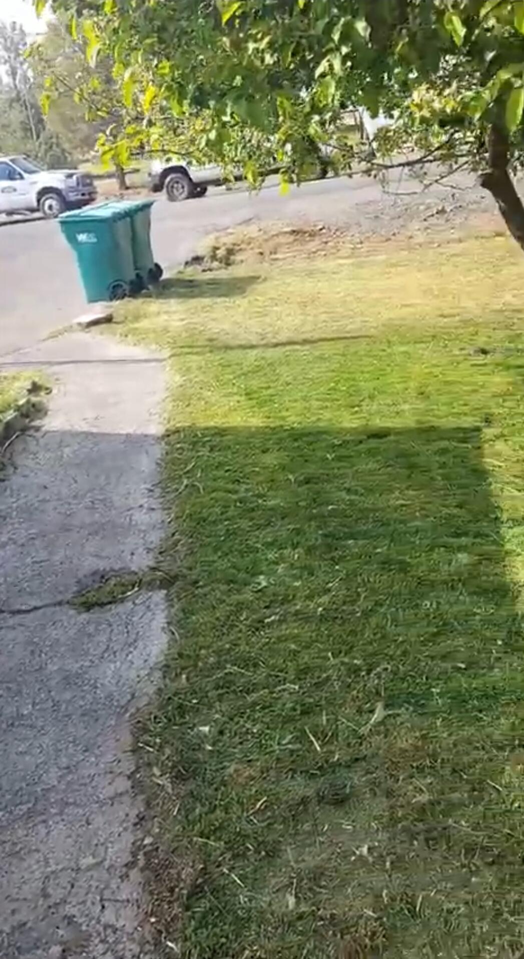 Bonanza - Residential