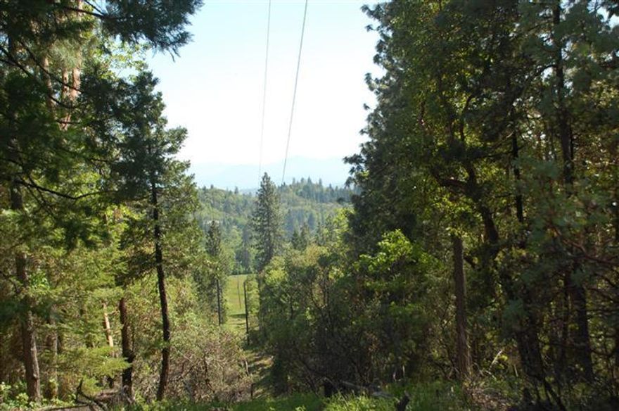 Private wooded 5+ acre parcel with views. Good well area. Great building site in charming Hugo neighborhood. All improvements in - well, septic, power, phone, road, and building site. Beautiful lush forestland, nice mix of madrone, oak, fir and cedar on north side with a seasonal creek. Private flag lot with a knoll top homesight, roughly an acre of level to sloping southeastern views. Old mobile (have estimates on file for removal at roughly $4000) at this price sold As-is. See Mobile-only Listing #52930882 for an idea of replacement housing!