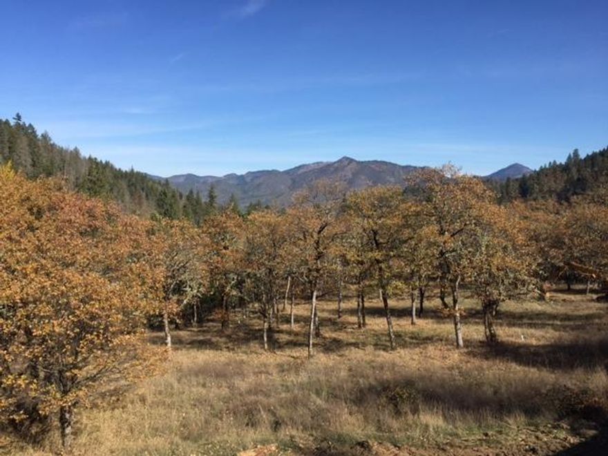 This outstanding ready to build off grid property has a large cleared home site pad. This property is very private and secluded, but easy to get to. Surrounded by government land on all four sides means no neighbors under current ownership and zoning regs. With a 15 GPM well when it was drilled and a four bedroom septic installed the non-expiring home site approval is non-expiring. The magnificent pristine valley views are clear forest with no sign of other homes and may take your breathe away. This property is perfect for your dream get away for riding, hiking or just being outdoors exploring your own forest watching the timber increase in value every year. Seller estimates over 200,000 board feet of timber still remain after the selective logging done in 2019. Creative financing may be available to credit worthy buyers with a large down, or an exchange for income property is a possibility. There is an old timber cruise on file at the listing office.