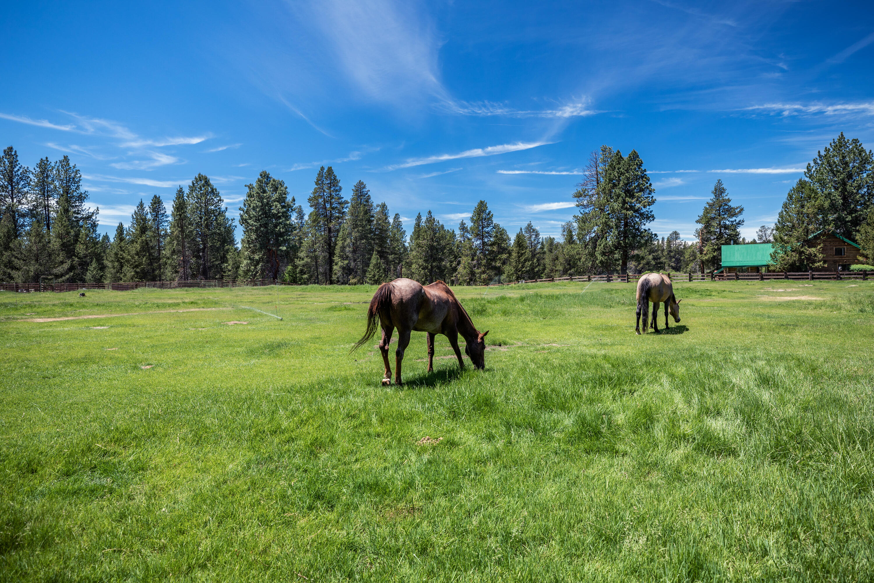 Wagon Trail Acreages - Residential