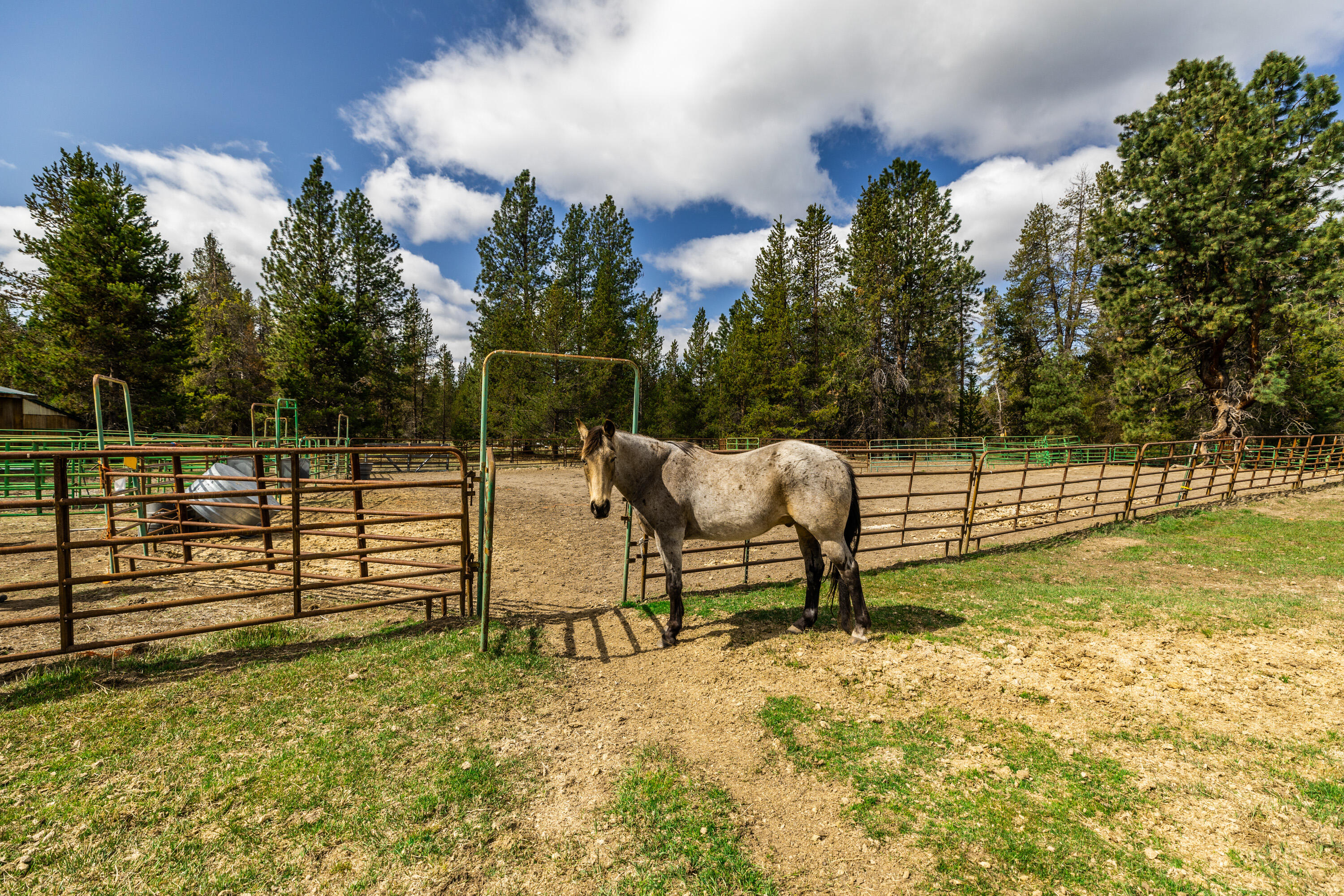 Wagon Trail Acreages - Residential