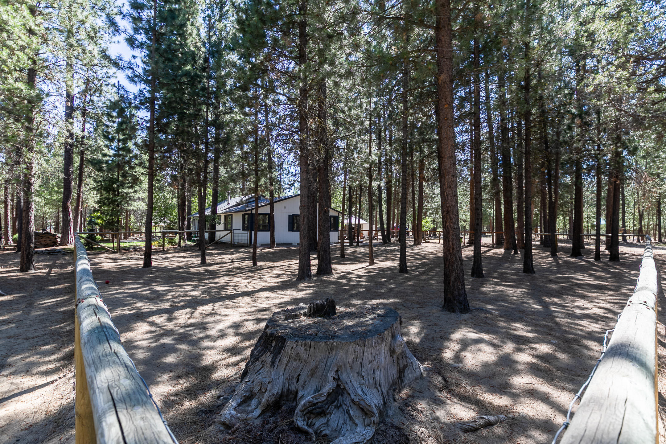 Ponderosa Pines - Residential