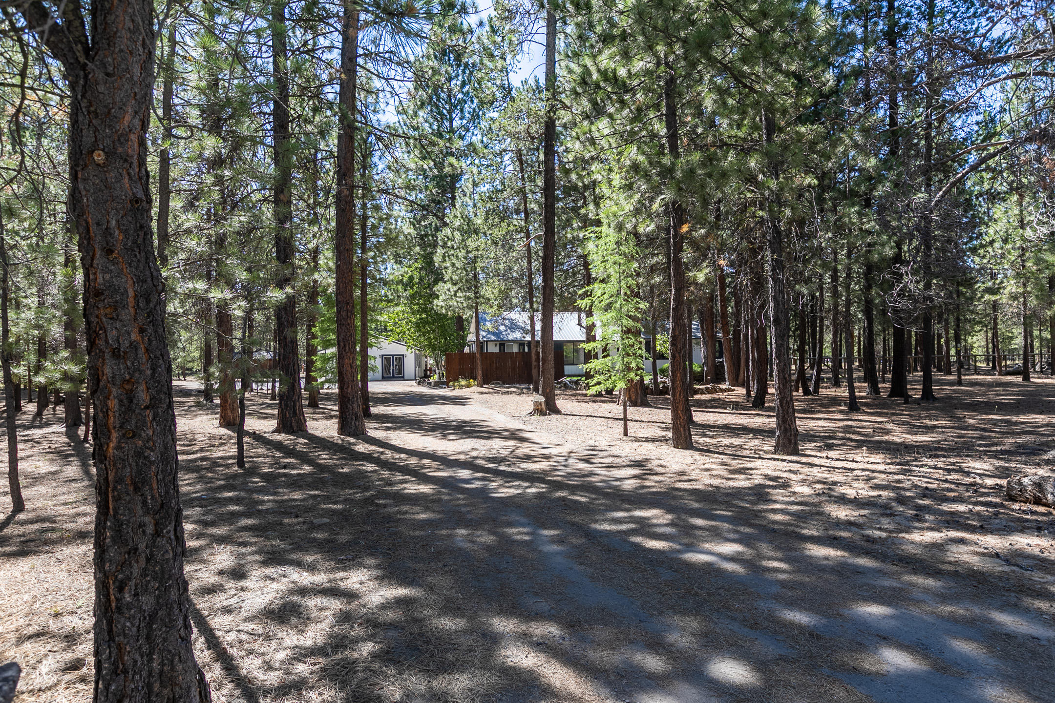 Ponderosa Pines - Residential