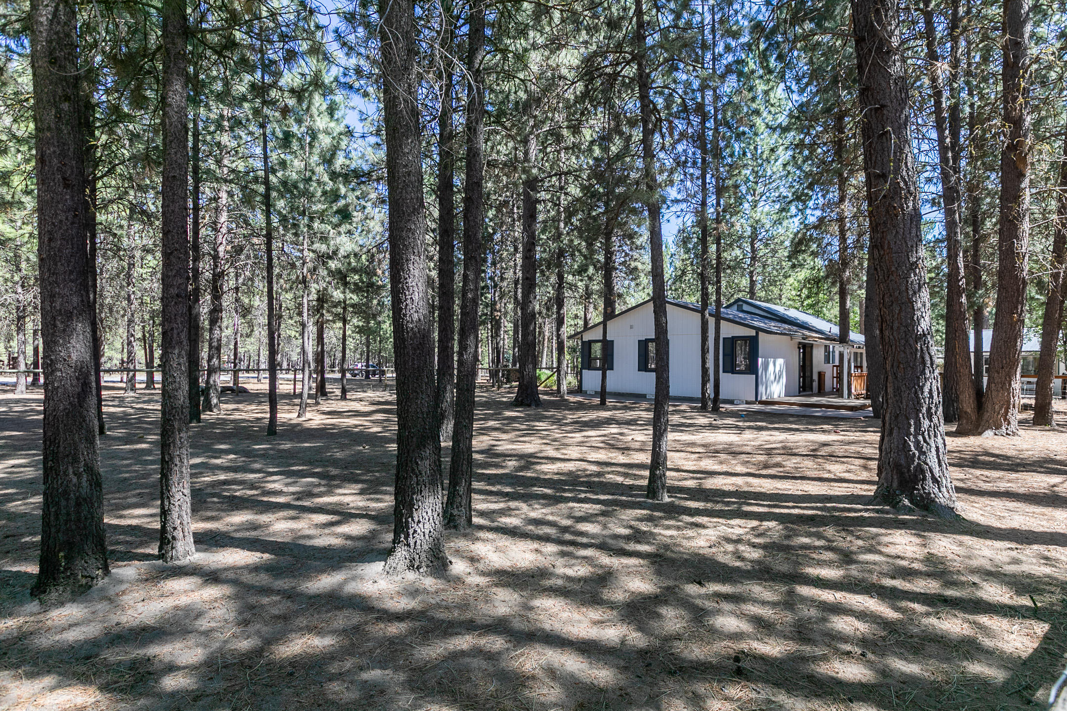 Ponderosa Pines - Residential