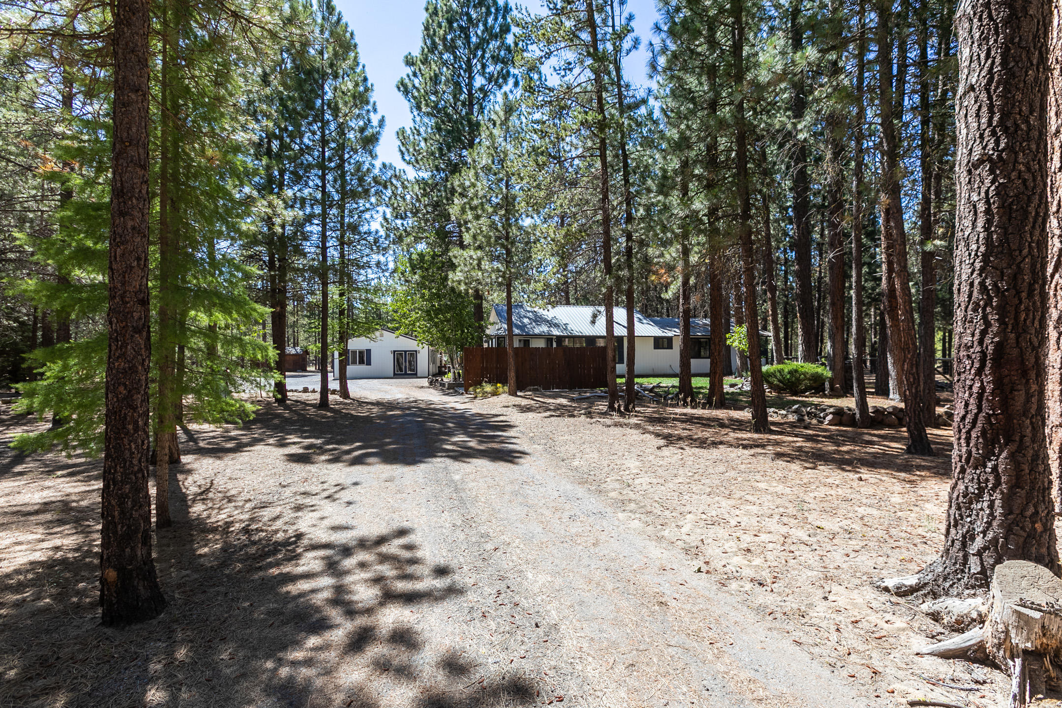 Ponderosa Pines - Residential