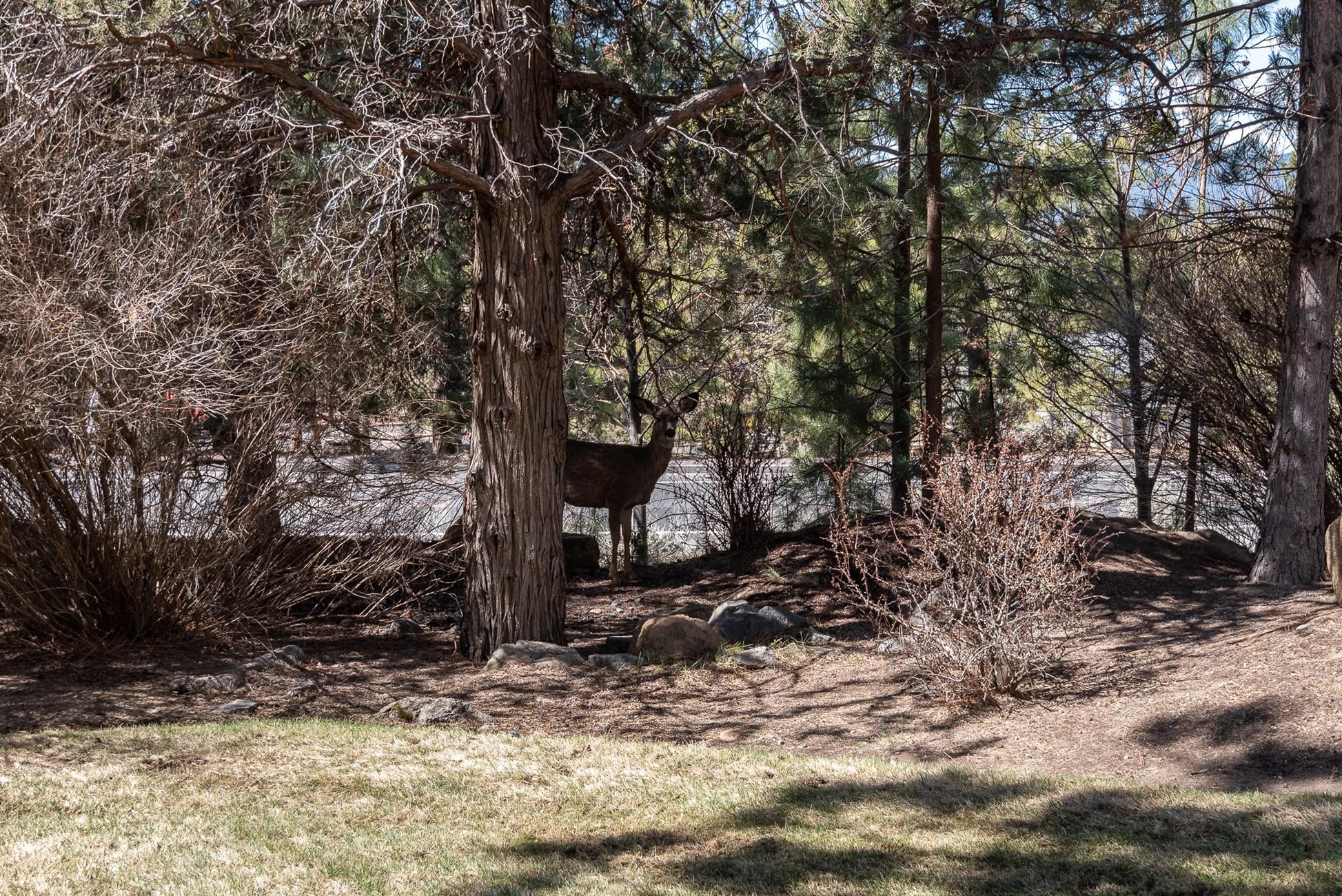 Awbrey Butte - Residential