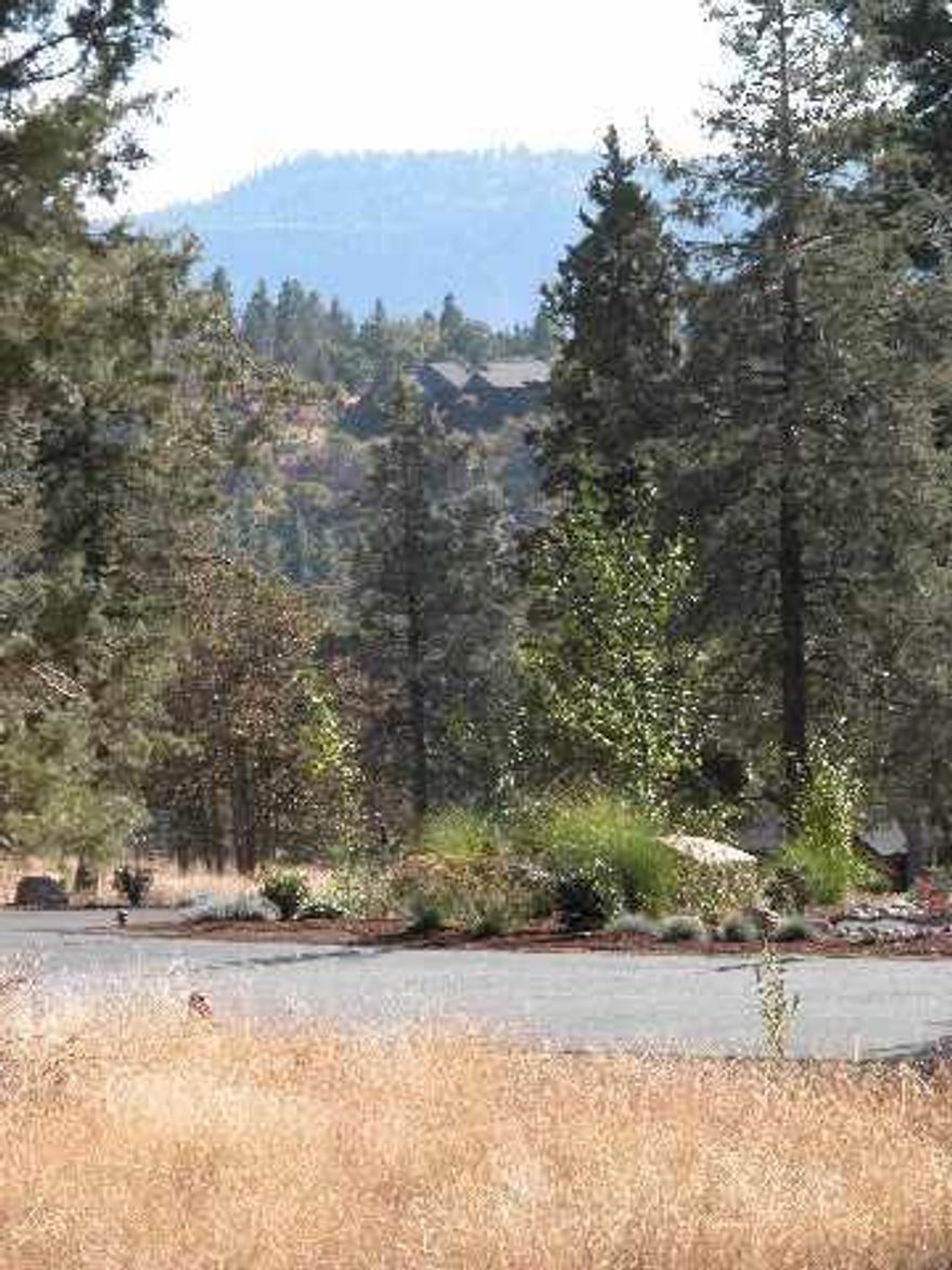 Gently Sloping Lot, Easily Buildable, Scenic Location. Must See To Appreciate.