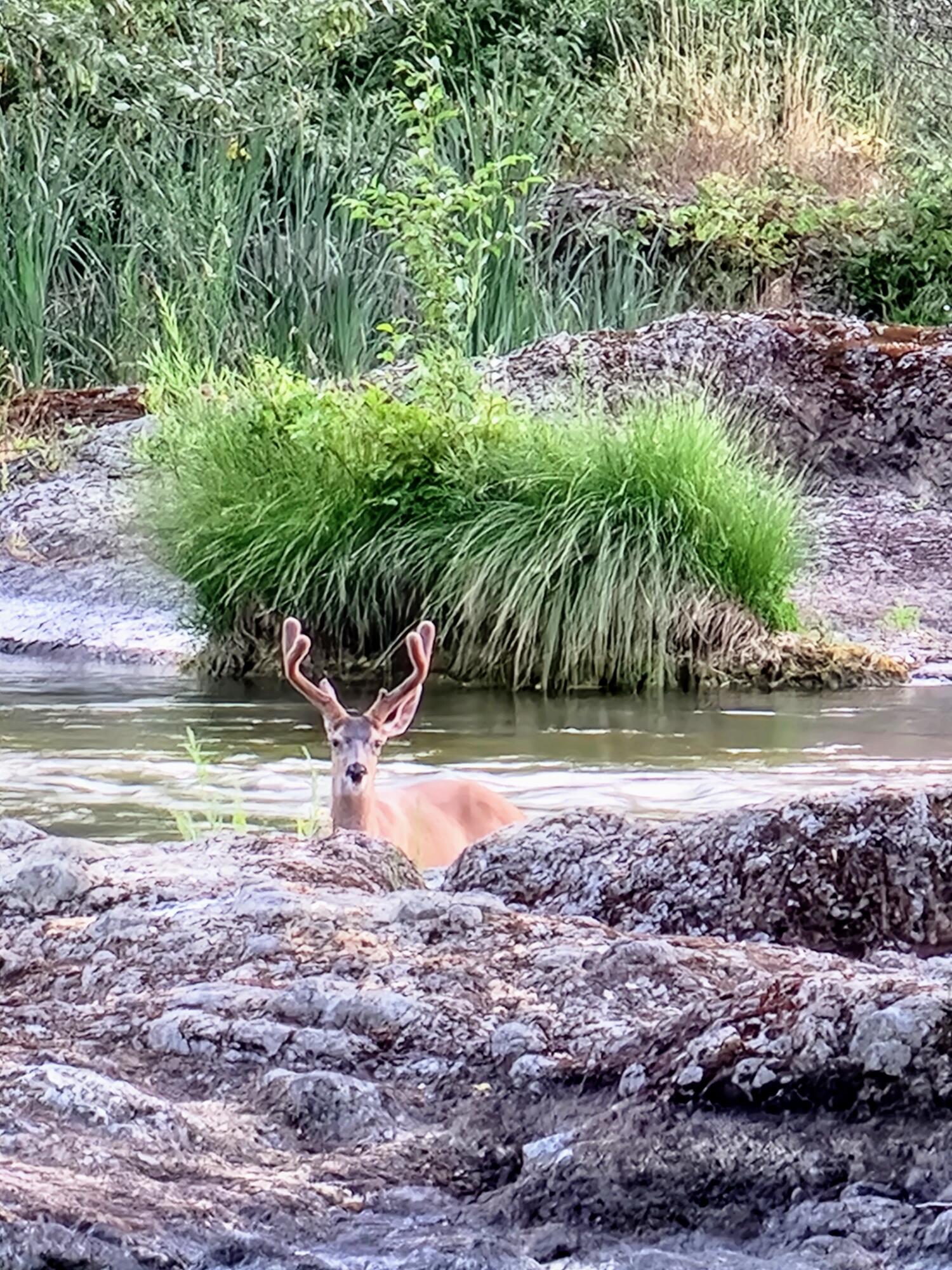 Edgewood Park - Residential