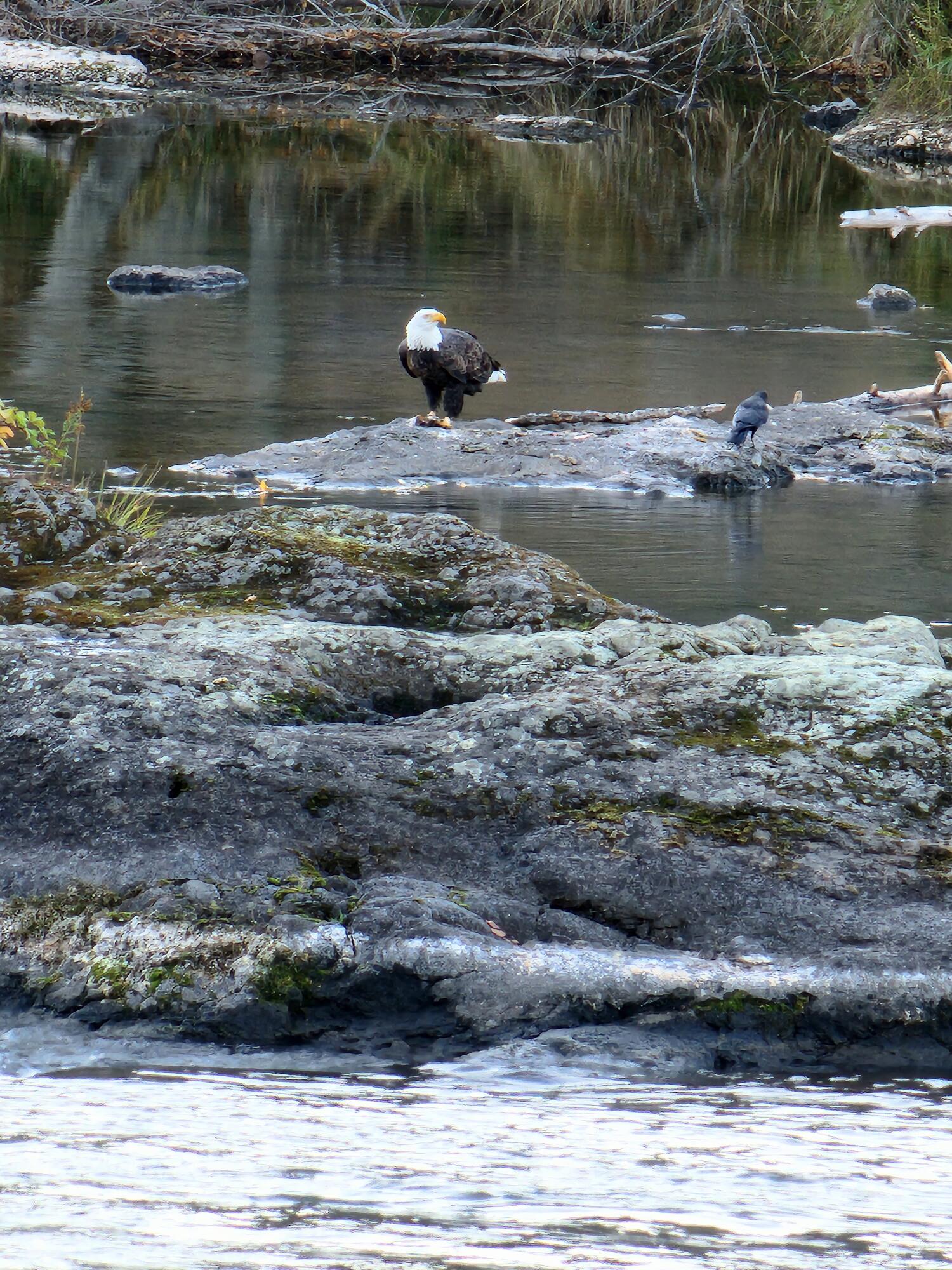 Edgewood Park - Residential