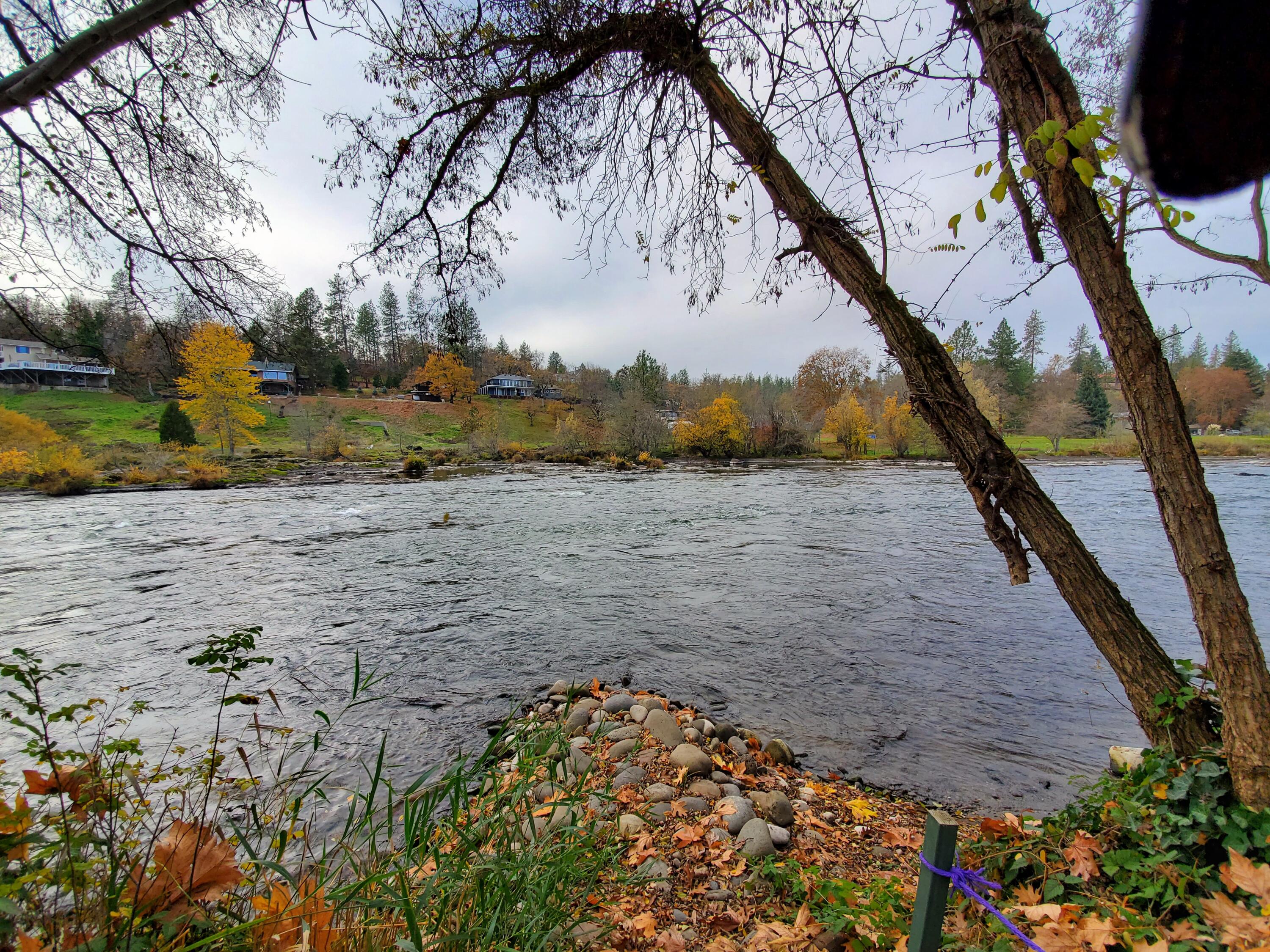 Edgewood Park - Residential