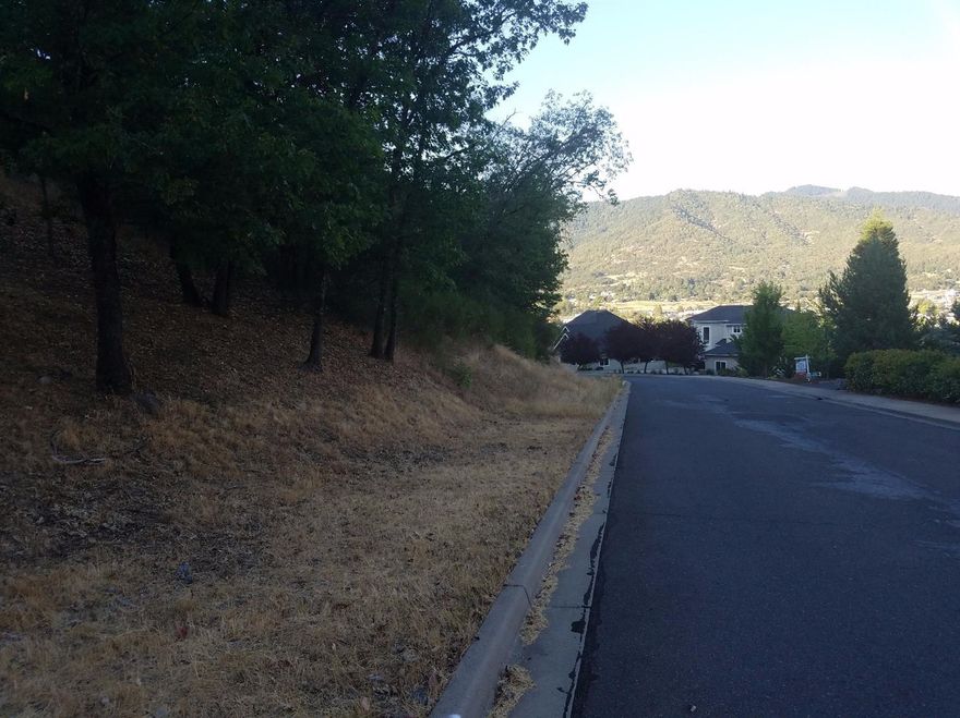 Beautiful build-able lot in a great location