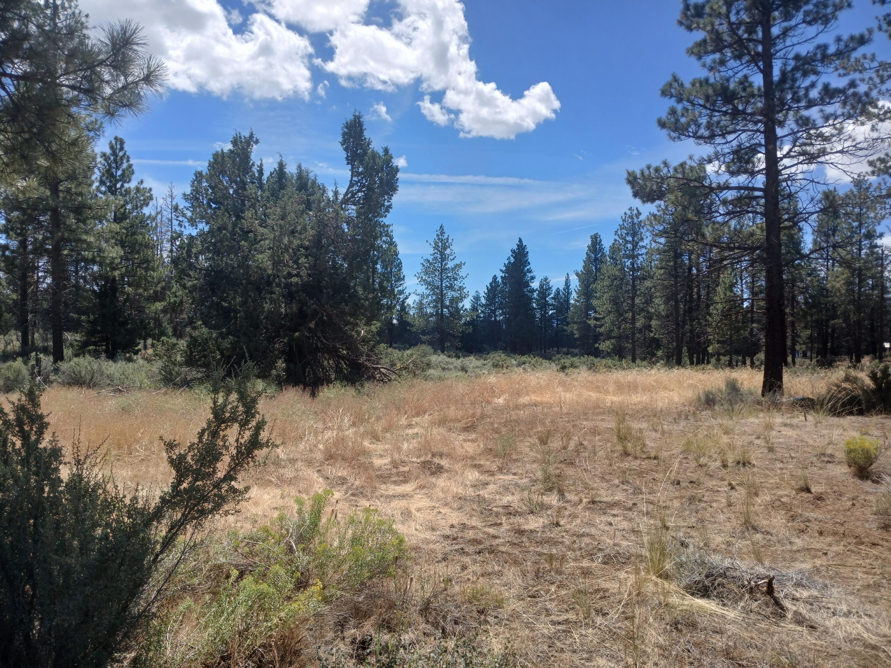 Klamath Forest Estates -First Addition - Land