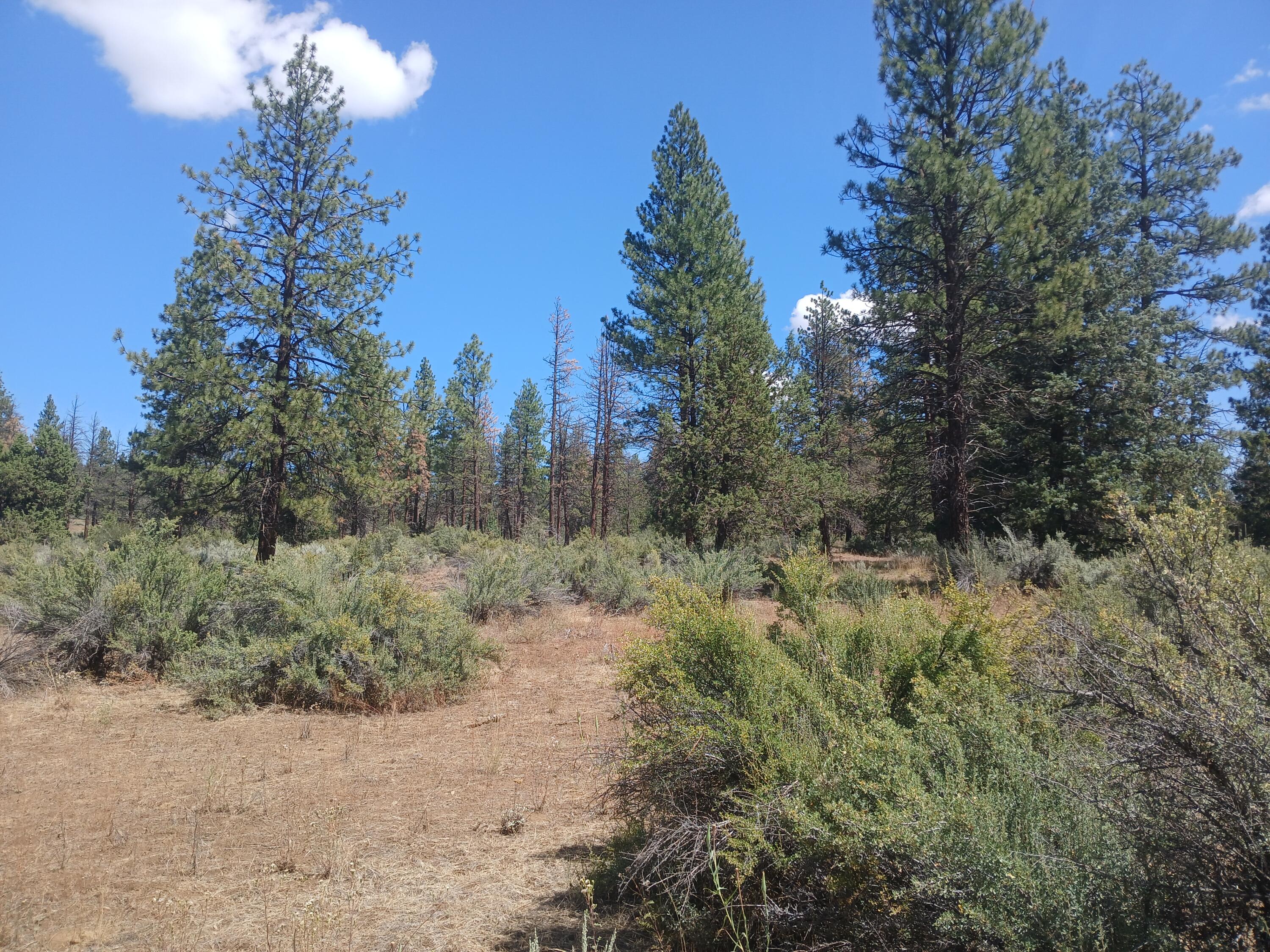 Klamath Forest Estates -First Addition - Land