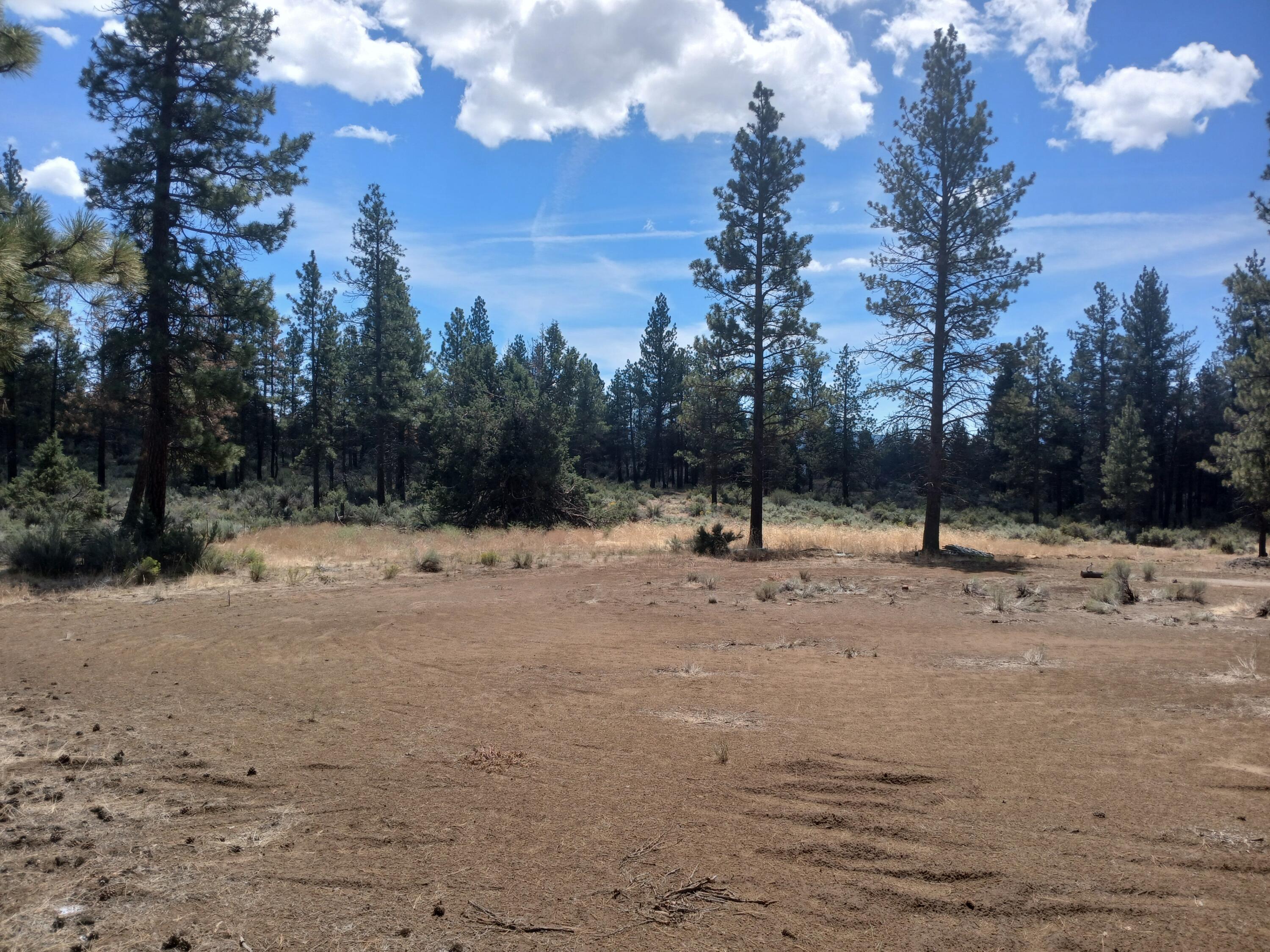 Klamath Forest Estates -First Addition - Land