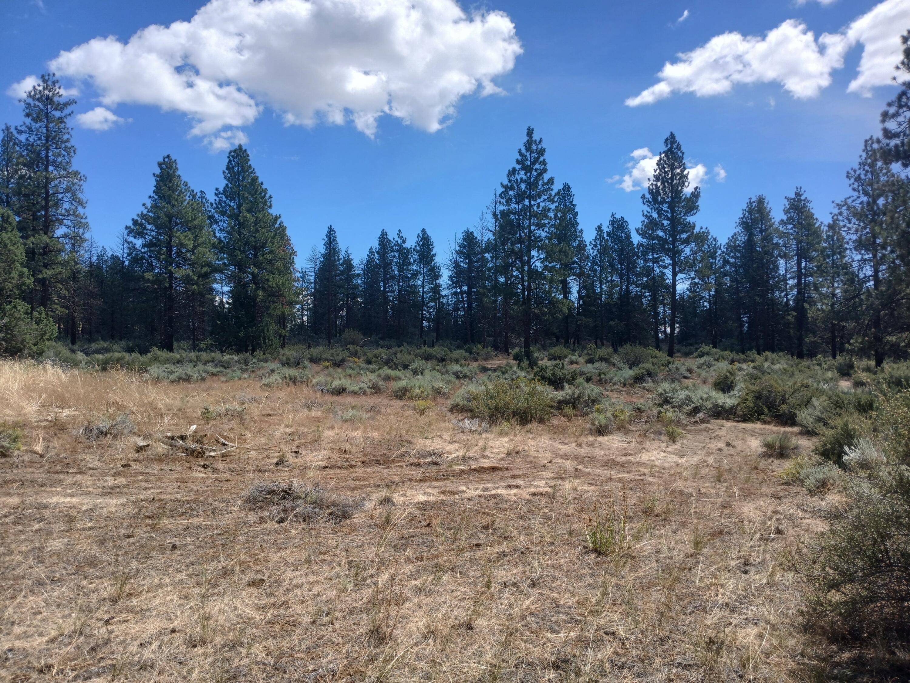 Klamath Forest Estates -First Addition - Land