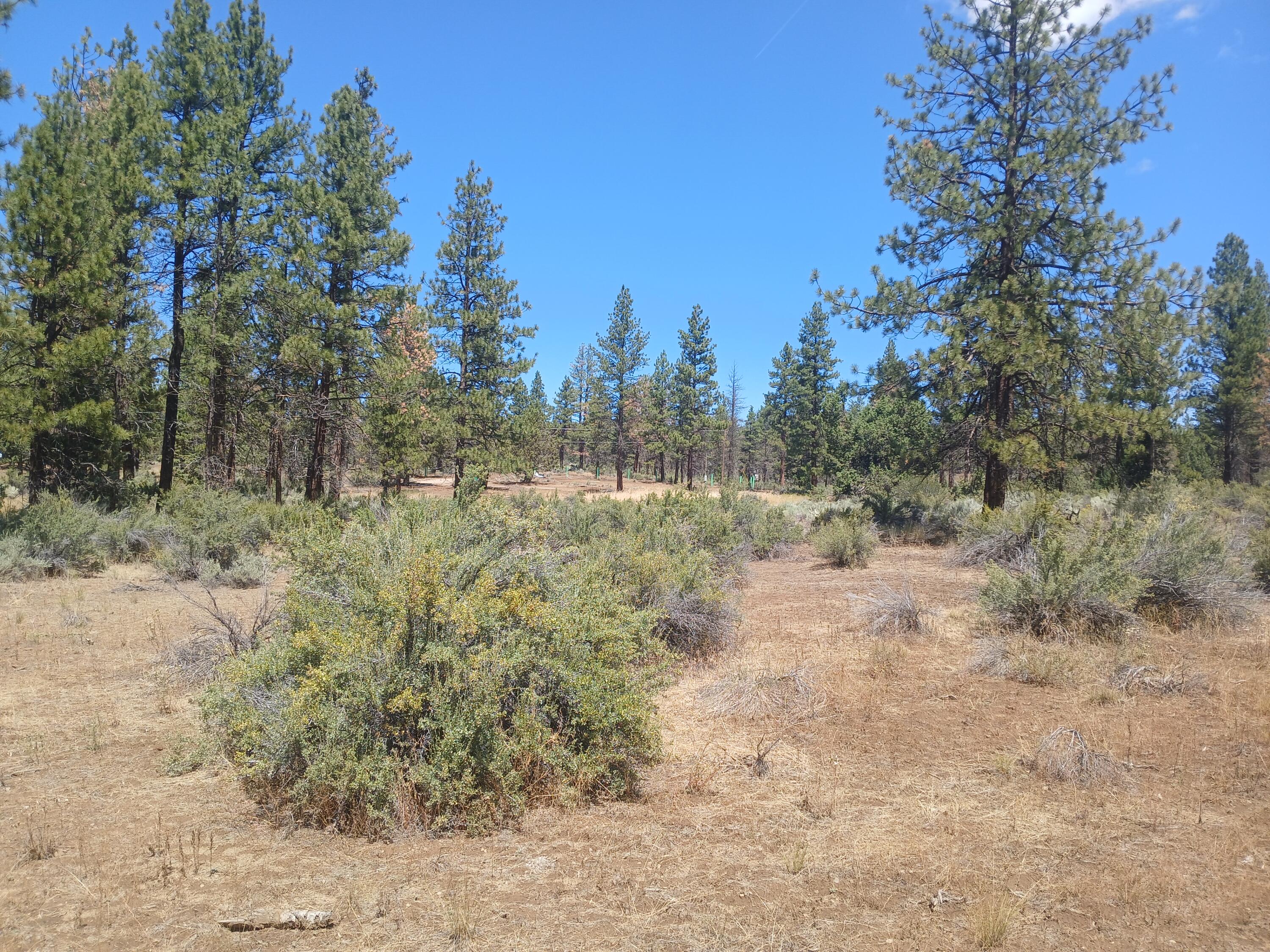 Klamath Forest Estates -First Addition - Land
