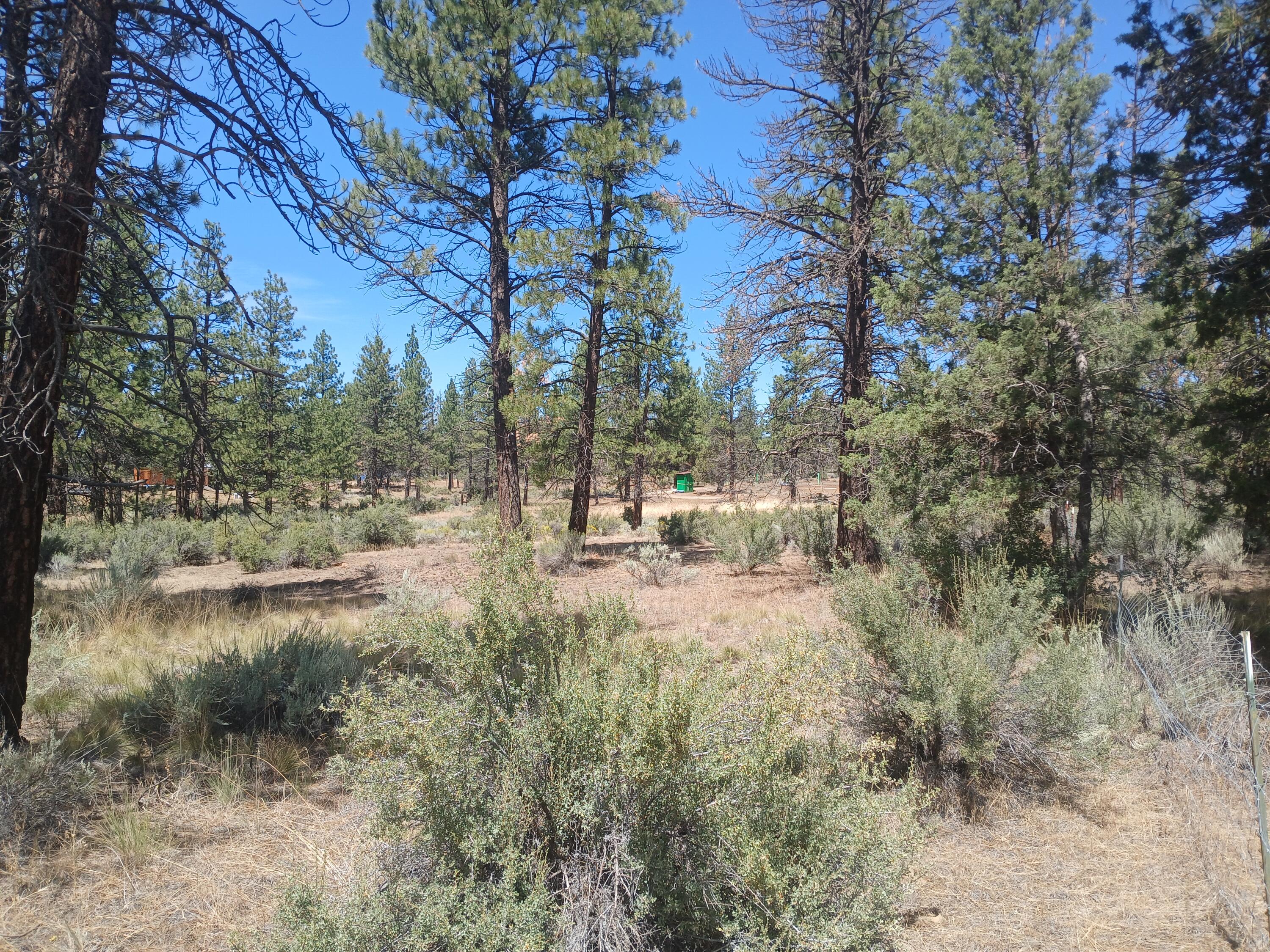 Klamath Forest Estates -First Addition - Land