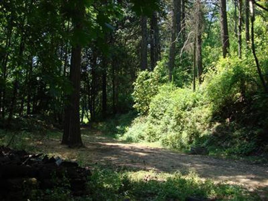 Look for agent sign - pad is in, property is fairly steep - room for home & small yard. Need to use imagination to build on this one!