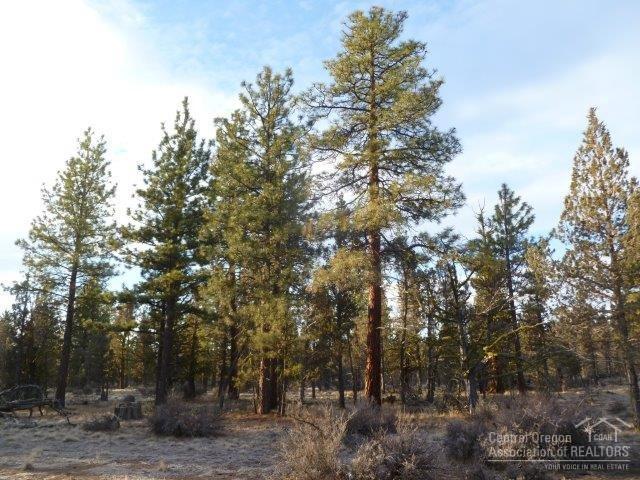Squaw Creek Canyon - Land