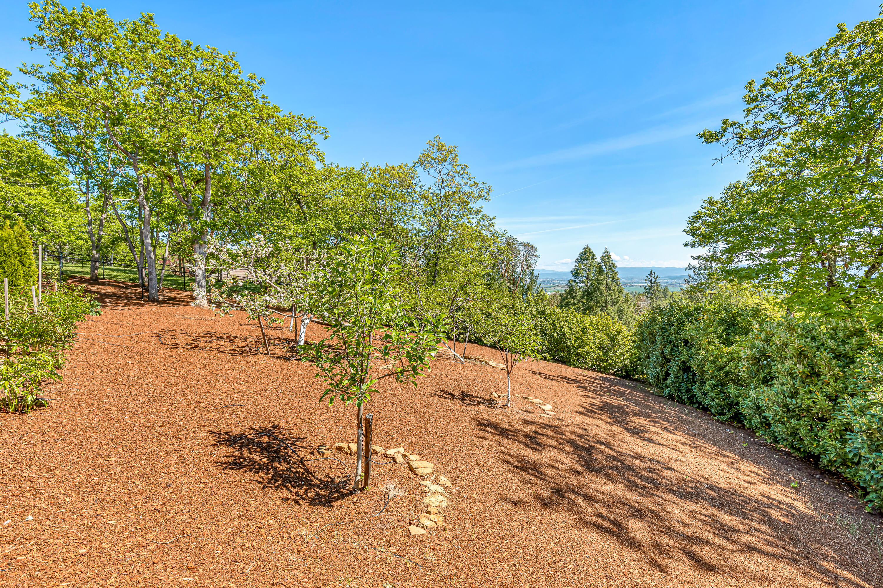 Coachman Hills Subdivision - Residential