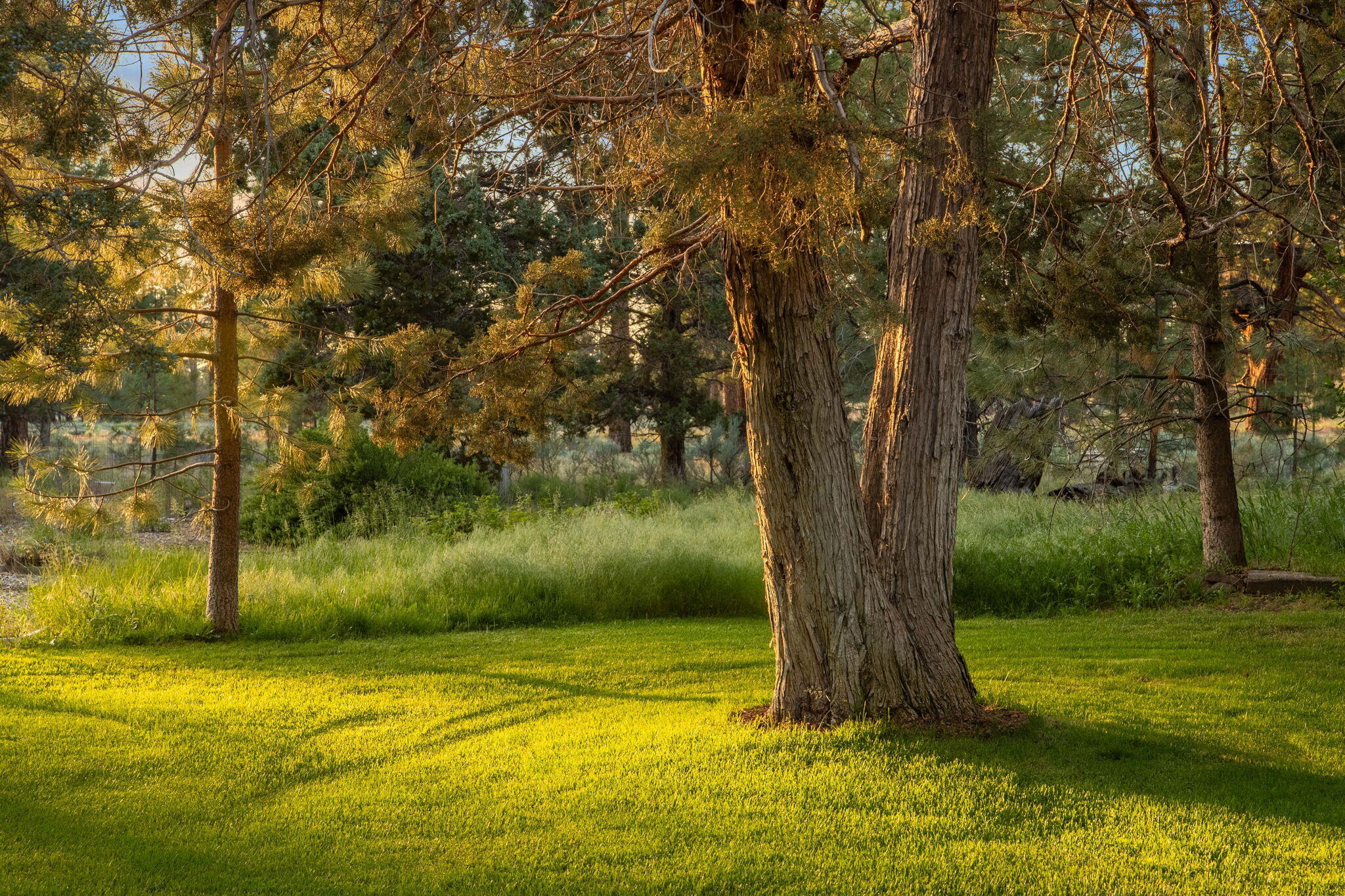 Panoramic View Est - Residential