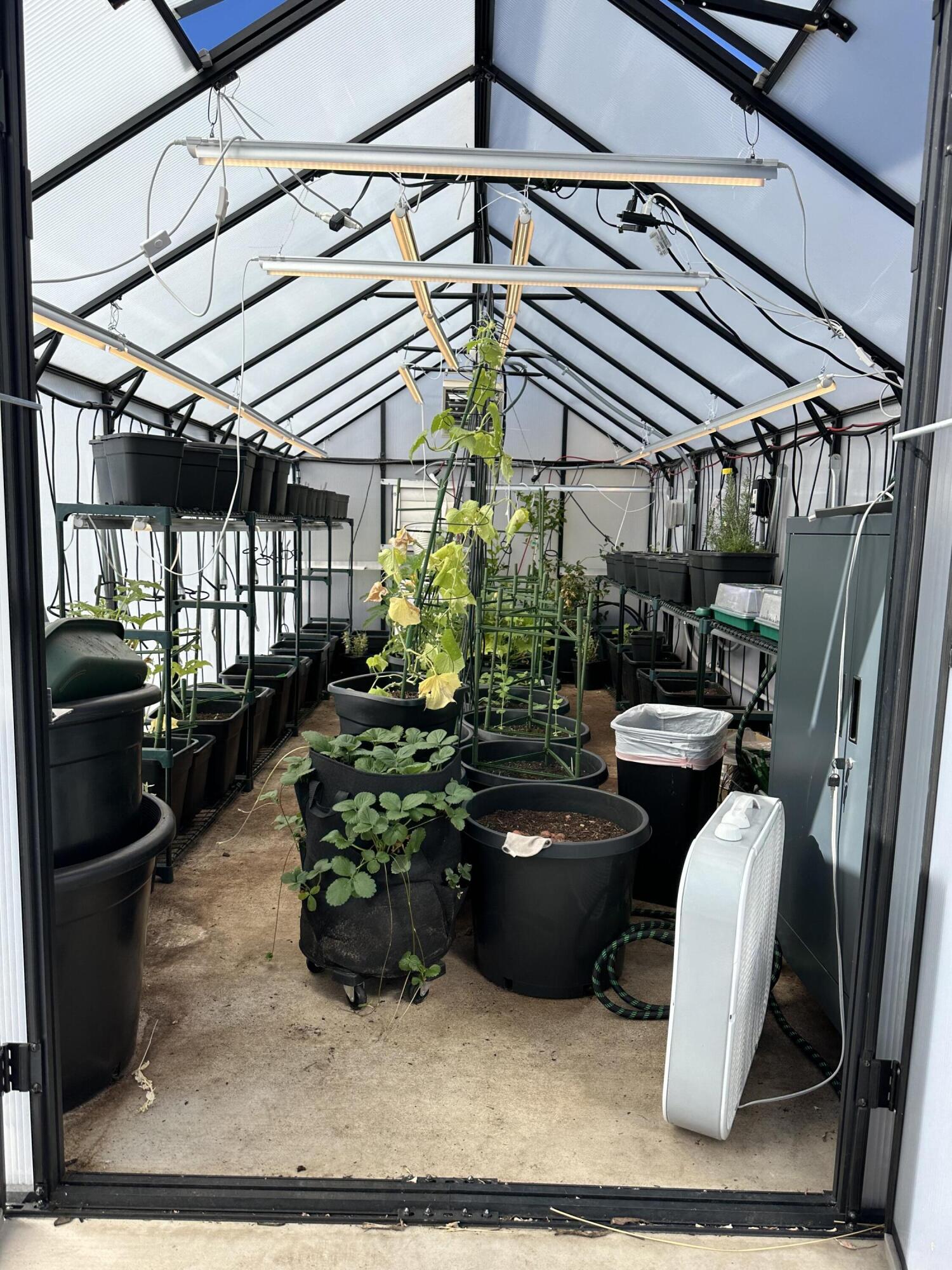 Treeline Phase 2 and 3 - Residential