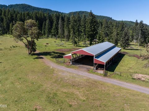 Tiny photo for 78189 High Prairie Road, Oakridge, OR 97463 (MLS # 220223882)