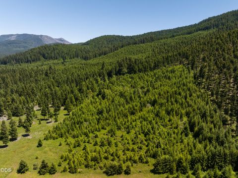 Tiny photo for 78189 High Prairie Road, Oakridge, OR 97463 (MLS # 220223882)