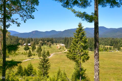 Tiny photo for 78189 High Prairie Road, Oakridge, OR 97463 (MLS # 220223882)