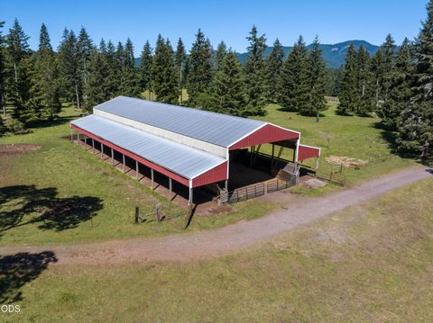 Tiny photo for 78189 High Prairie Road, Oakridge, OR 97463 (MLS # 220223882)