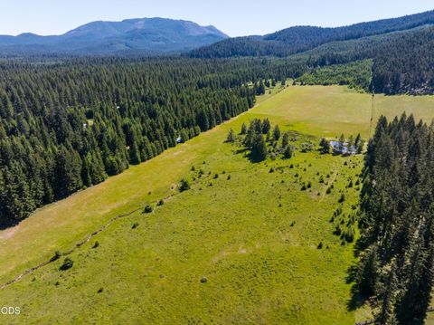 Tiny photo for 78189 High Prairie Road, Oakridge, OR 97463 (MLS # 220223882)